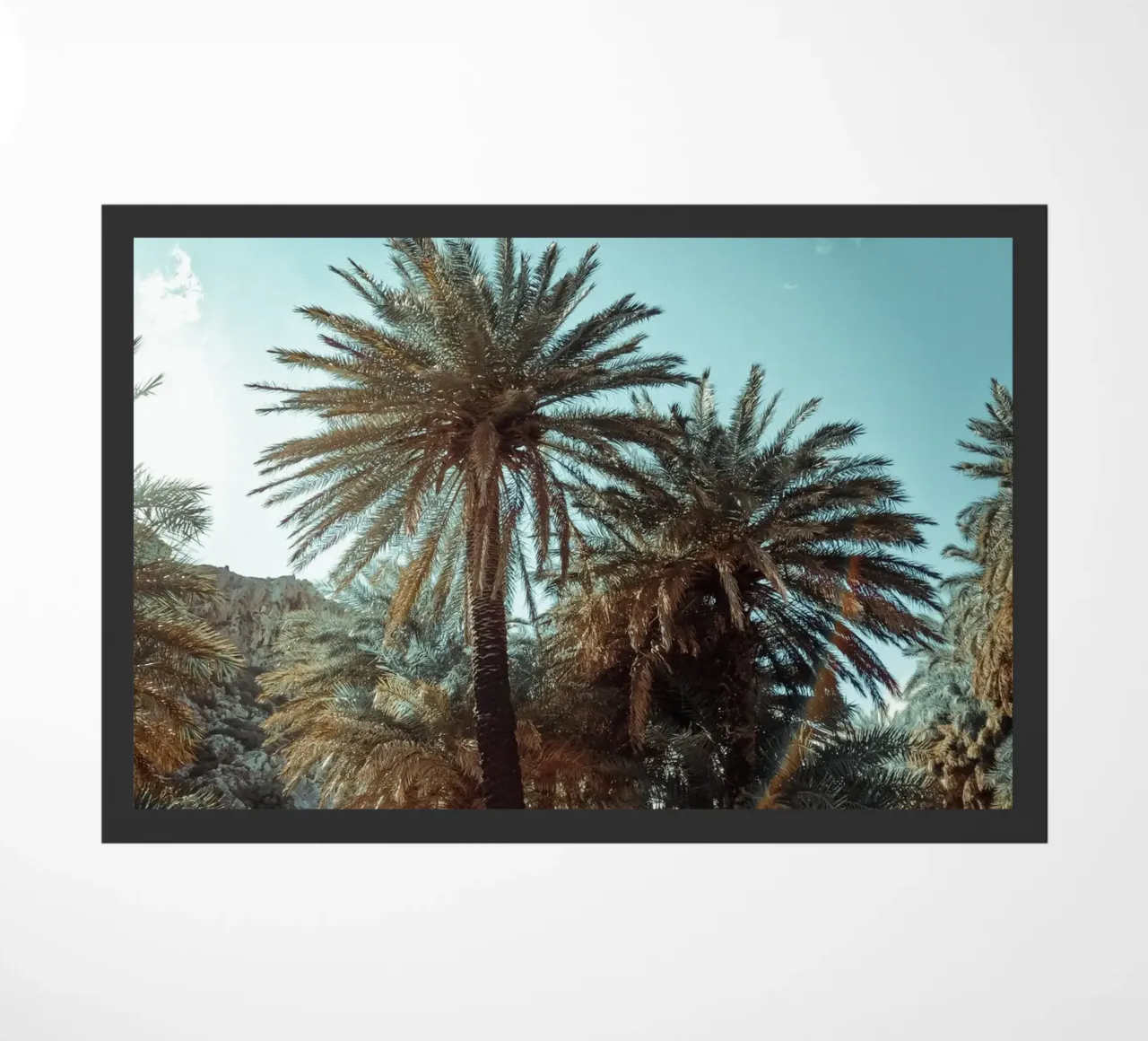 Oasis Light zerbino da somewhere.soul.escape