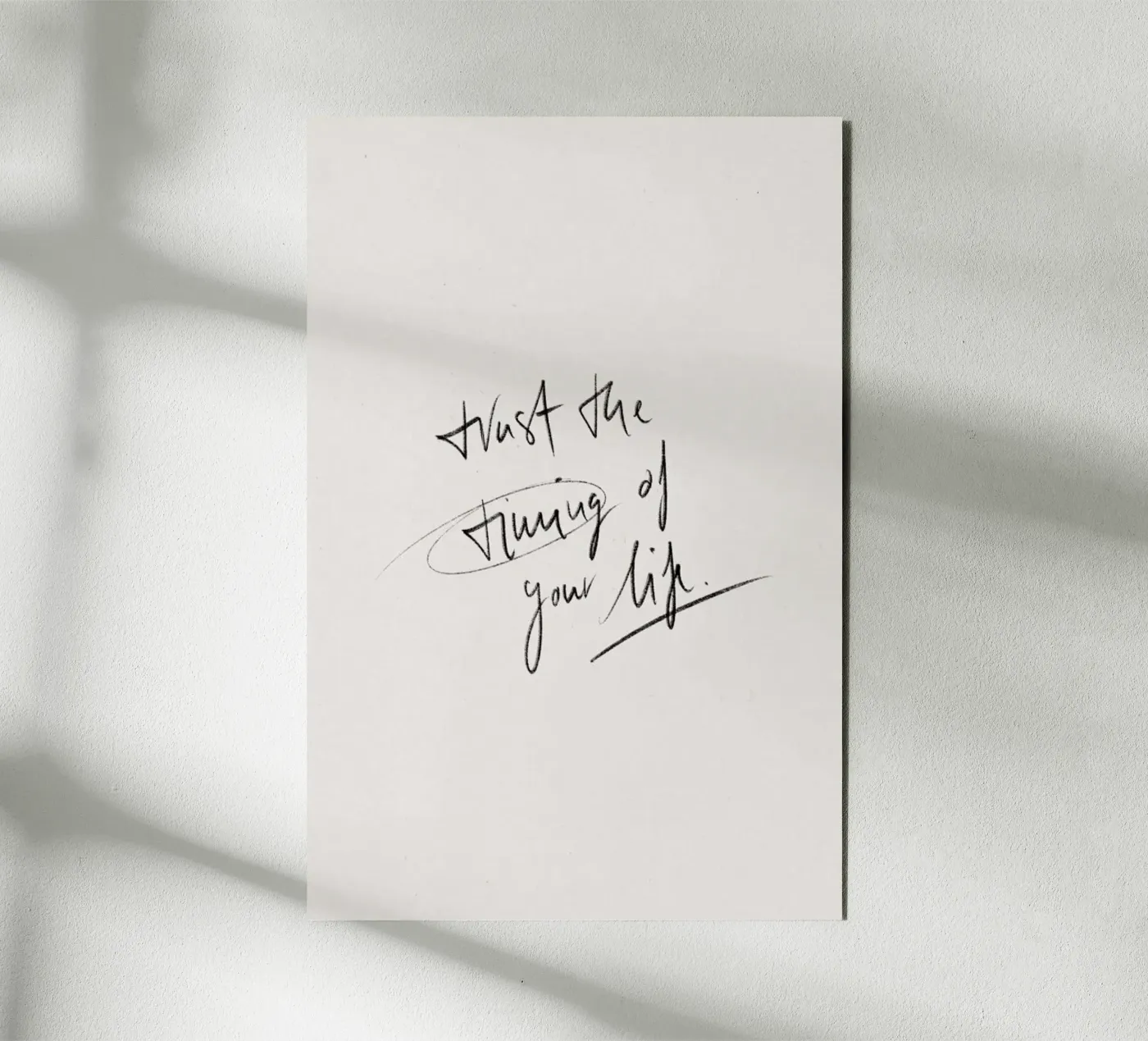 Timing forex plate by KRUTH DESIGN