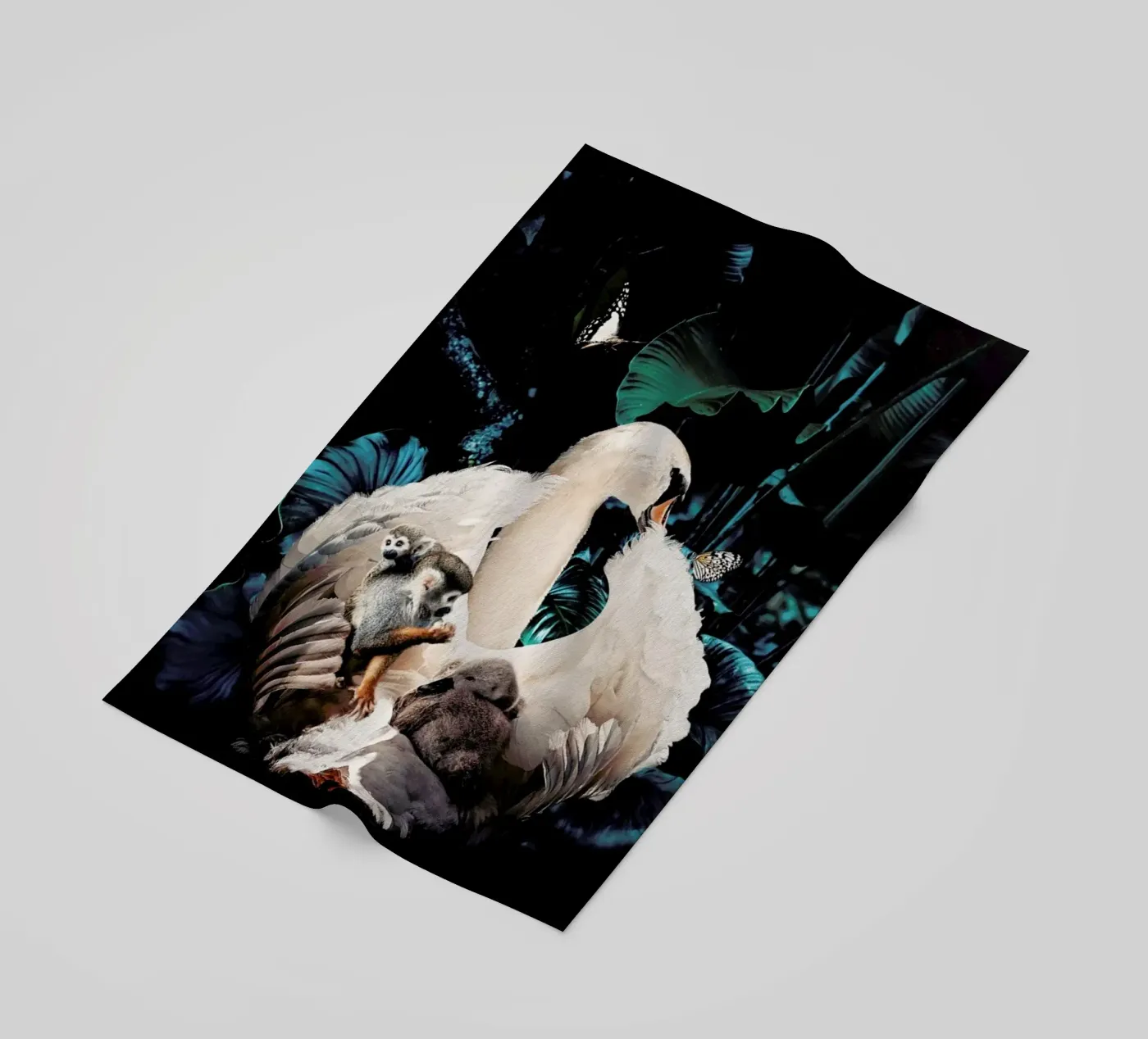 Swan telo mare da Wouter Rikken