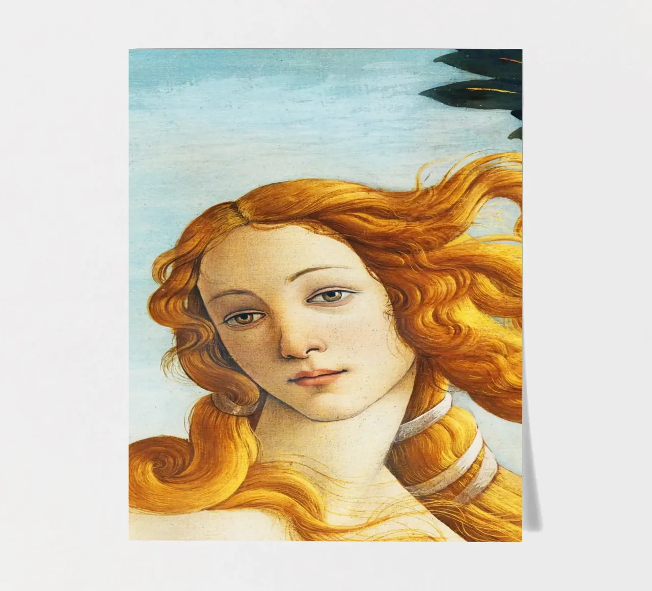La nascita di Venere - Particolare di Sandro Botticelli foglio adesivo da Art History