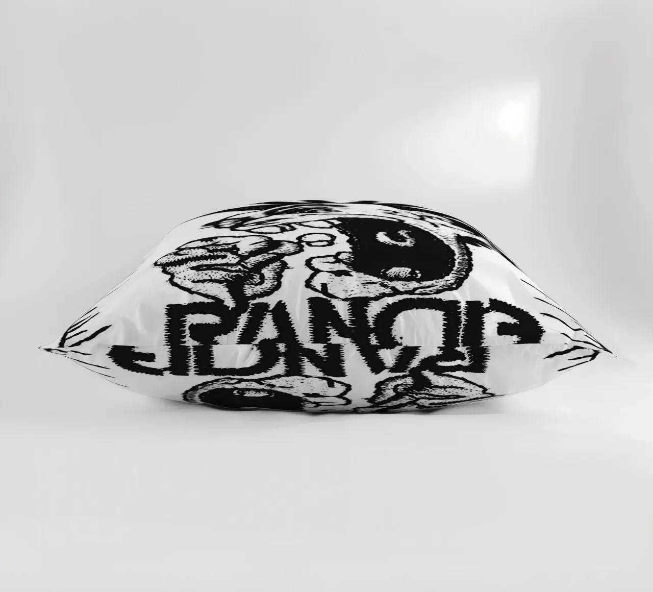 art du groupe rancid coussin de vanhesling