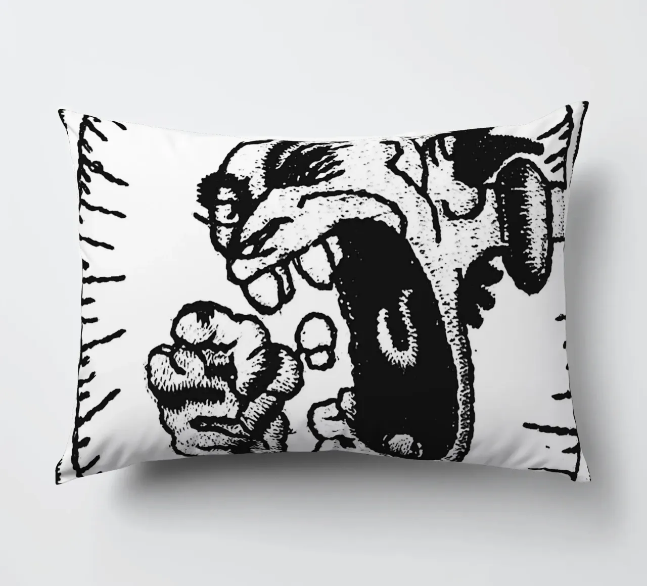 art du groupe rancid coussin de vanhesling