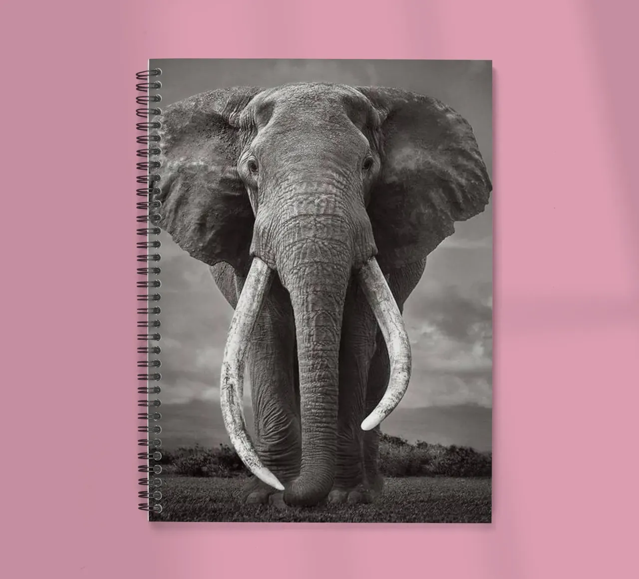The King of Jungle spiral notebook by christal shop