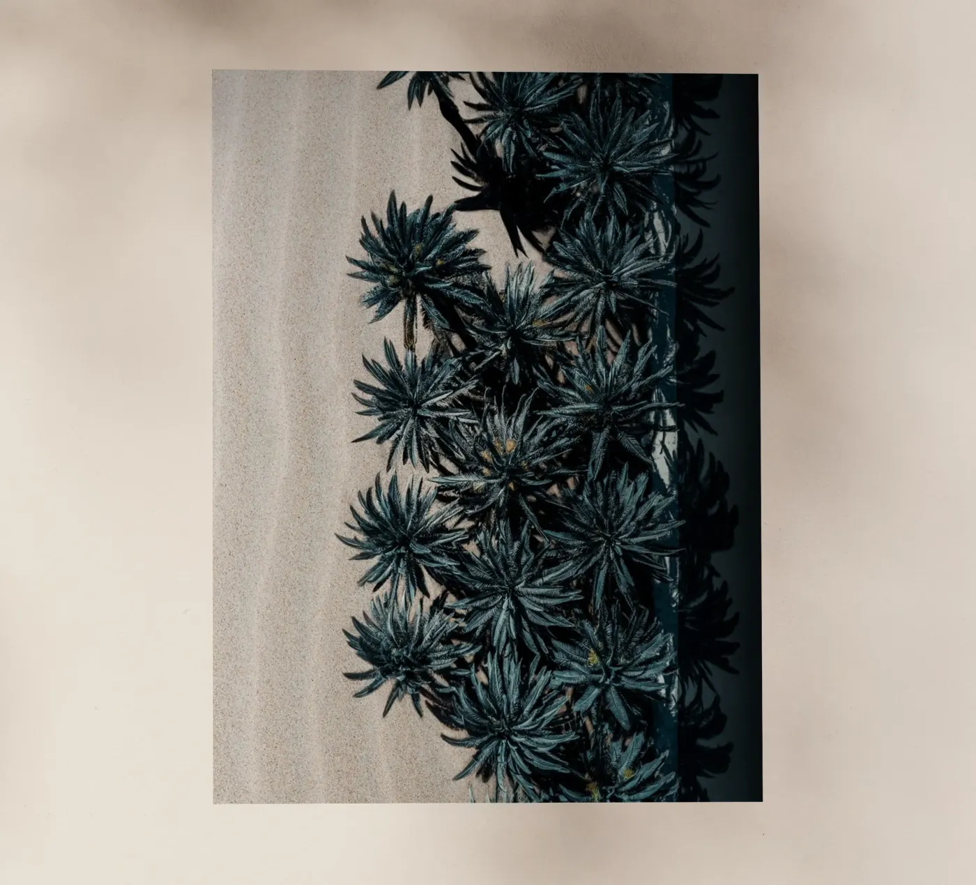 Split Terrain backlit film by somewhere.soul.escape