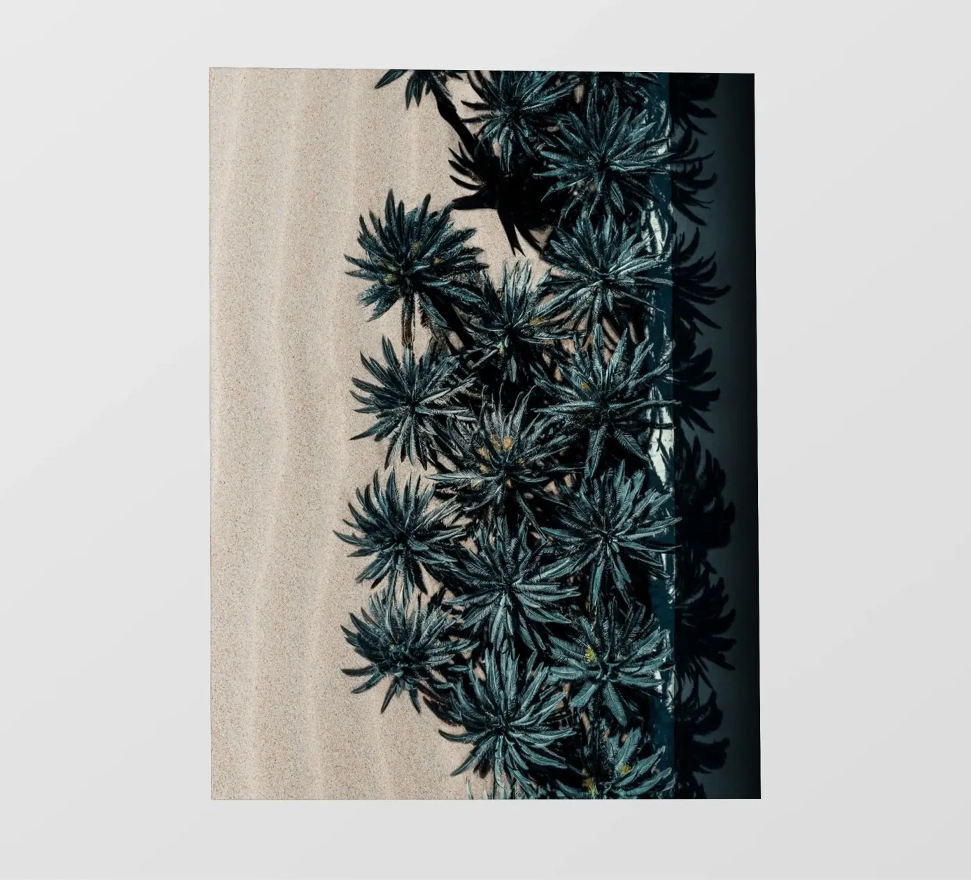 Split Terrain telo in pvc da somewhere.soul.escape