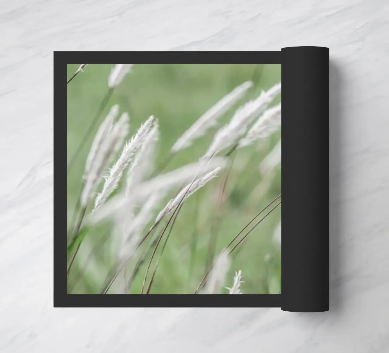 Breeze zerbino da Shot By Clint