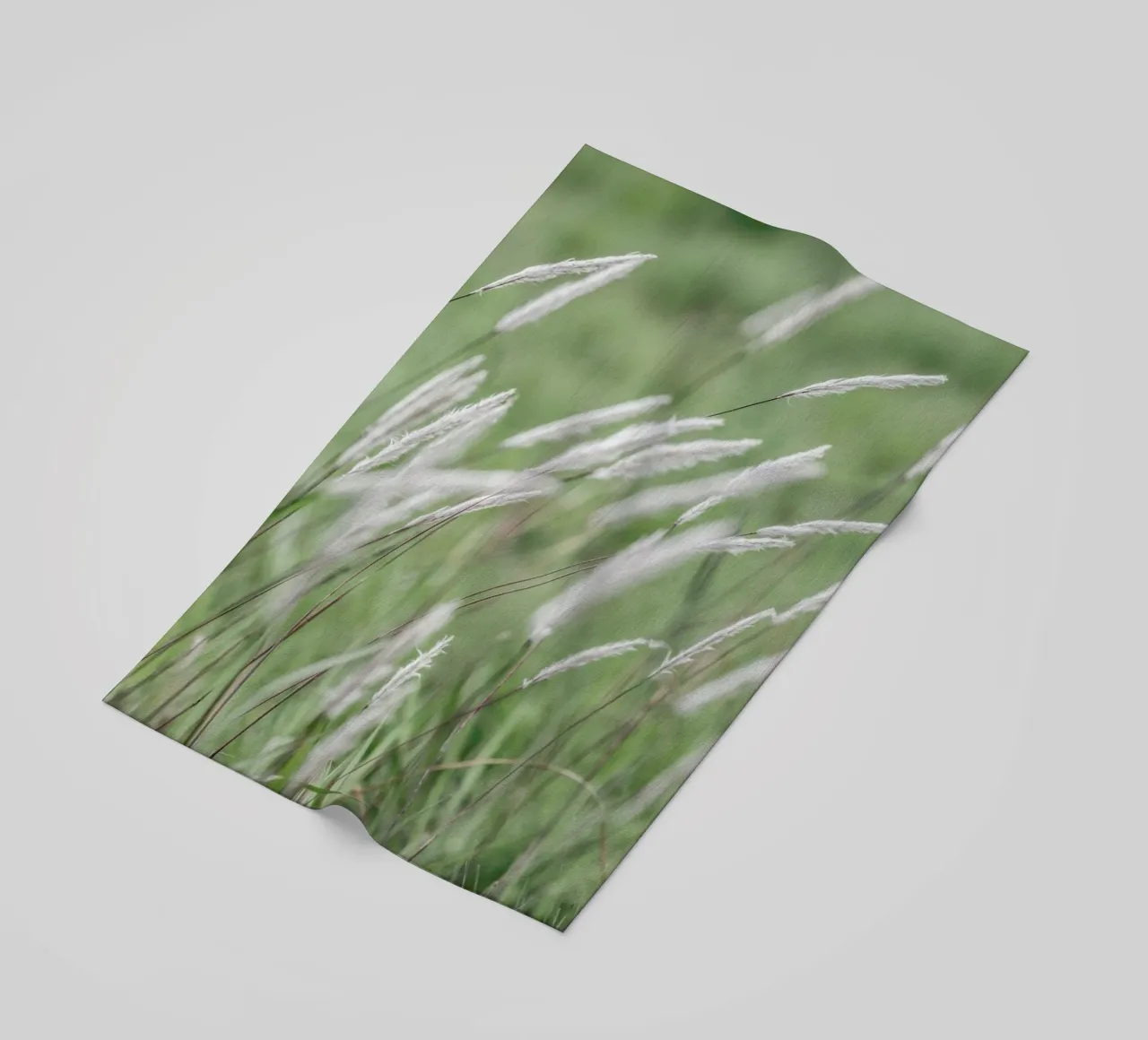 Breeze telo mare da Shot By Clint