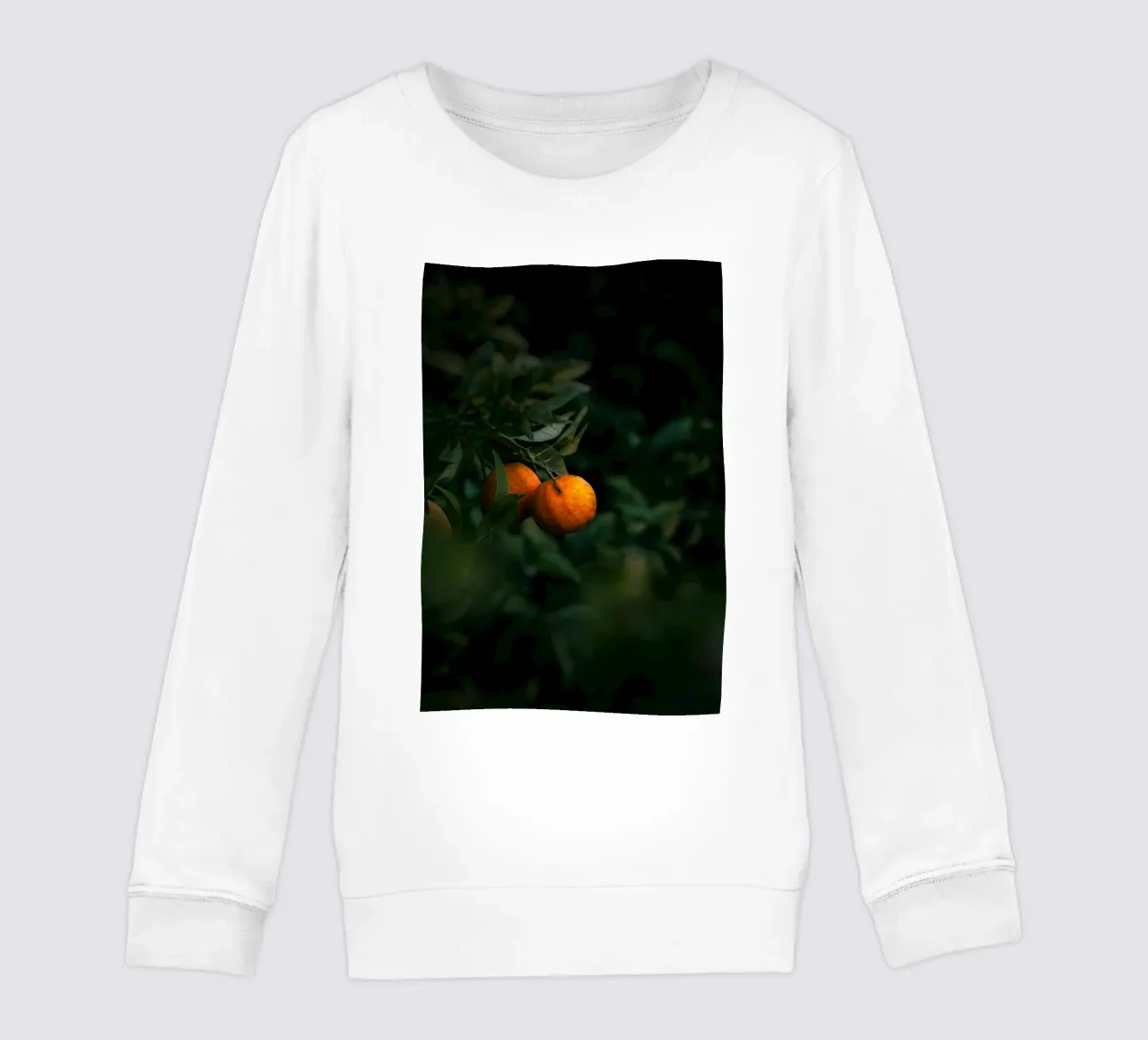 orange citrus kids sweatshirt by Earthly Visions