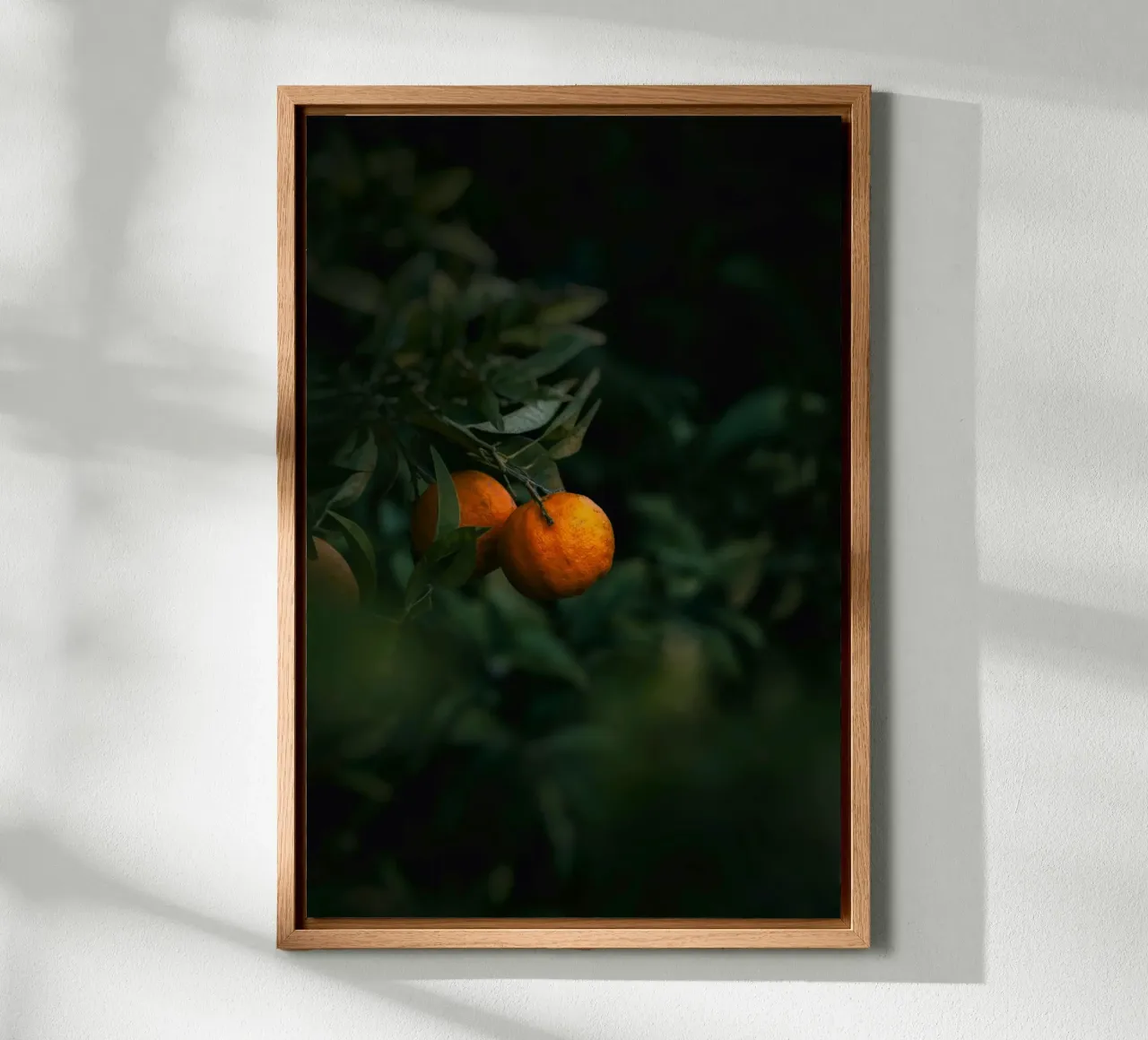 orange citrus forex plate by Earthly Visions
