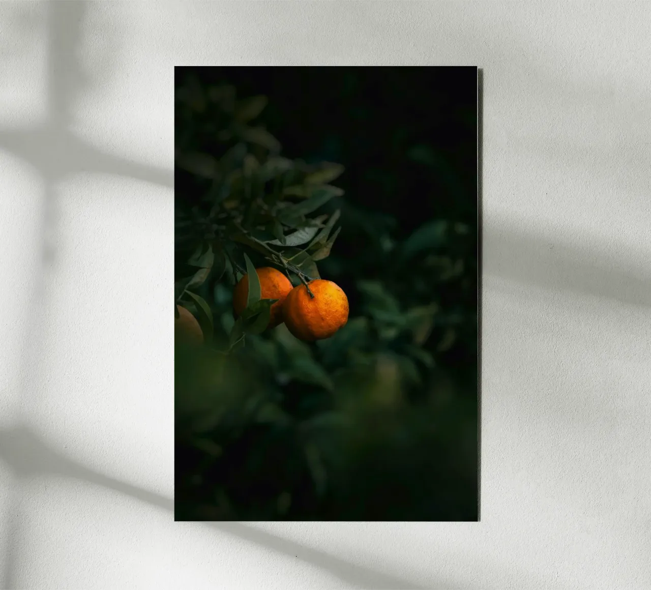 orange citrus forex plate by Earthly Visions