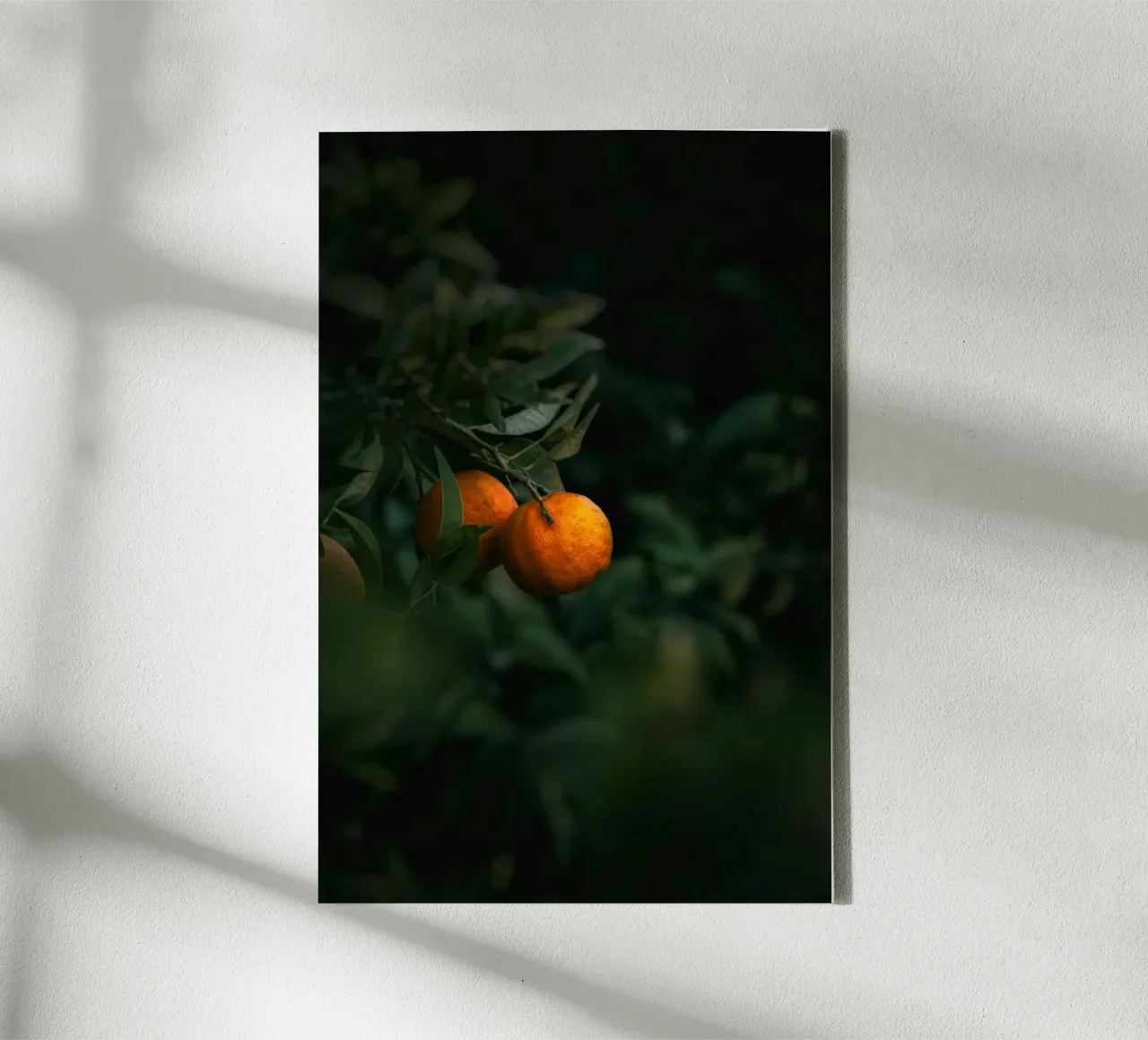 sinaasappelcitrus canvas met Baklijst van Earthly Visions