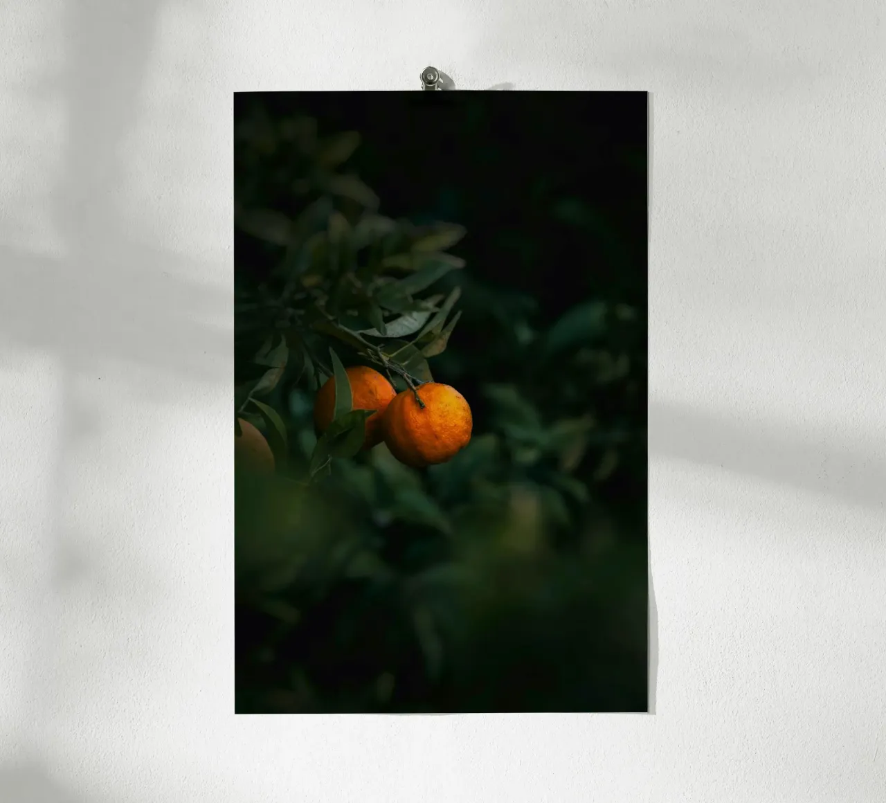 orangefarbene Zitrusfrucht Poster von Earthly Visions