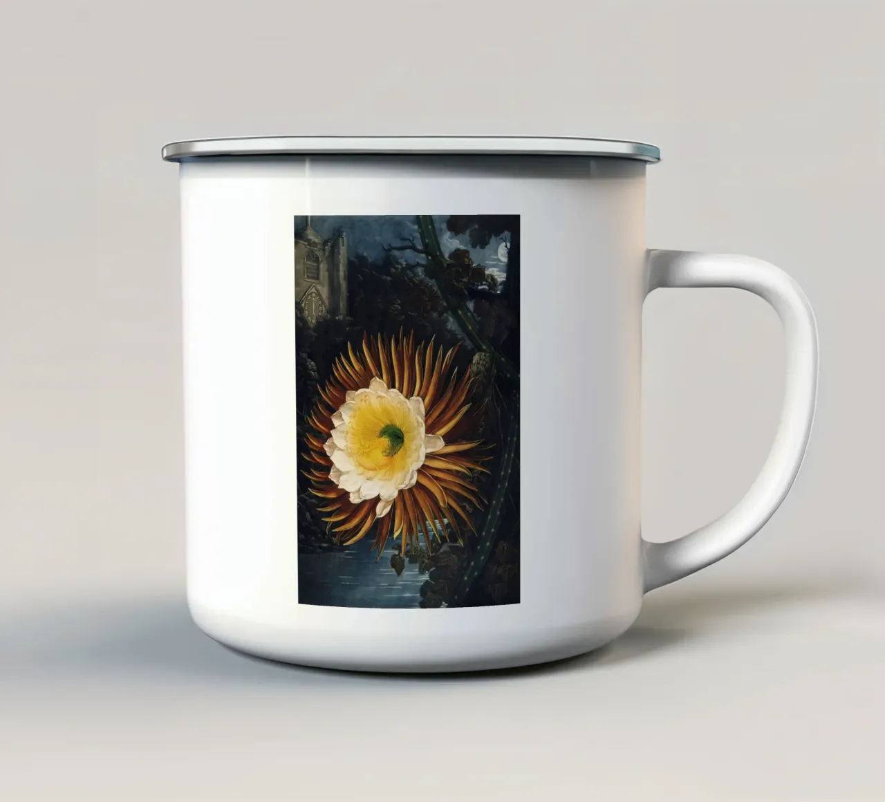 Vintage Thornton 2 Blowing Cereus tazza in smalto da Vintage Print Collection