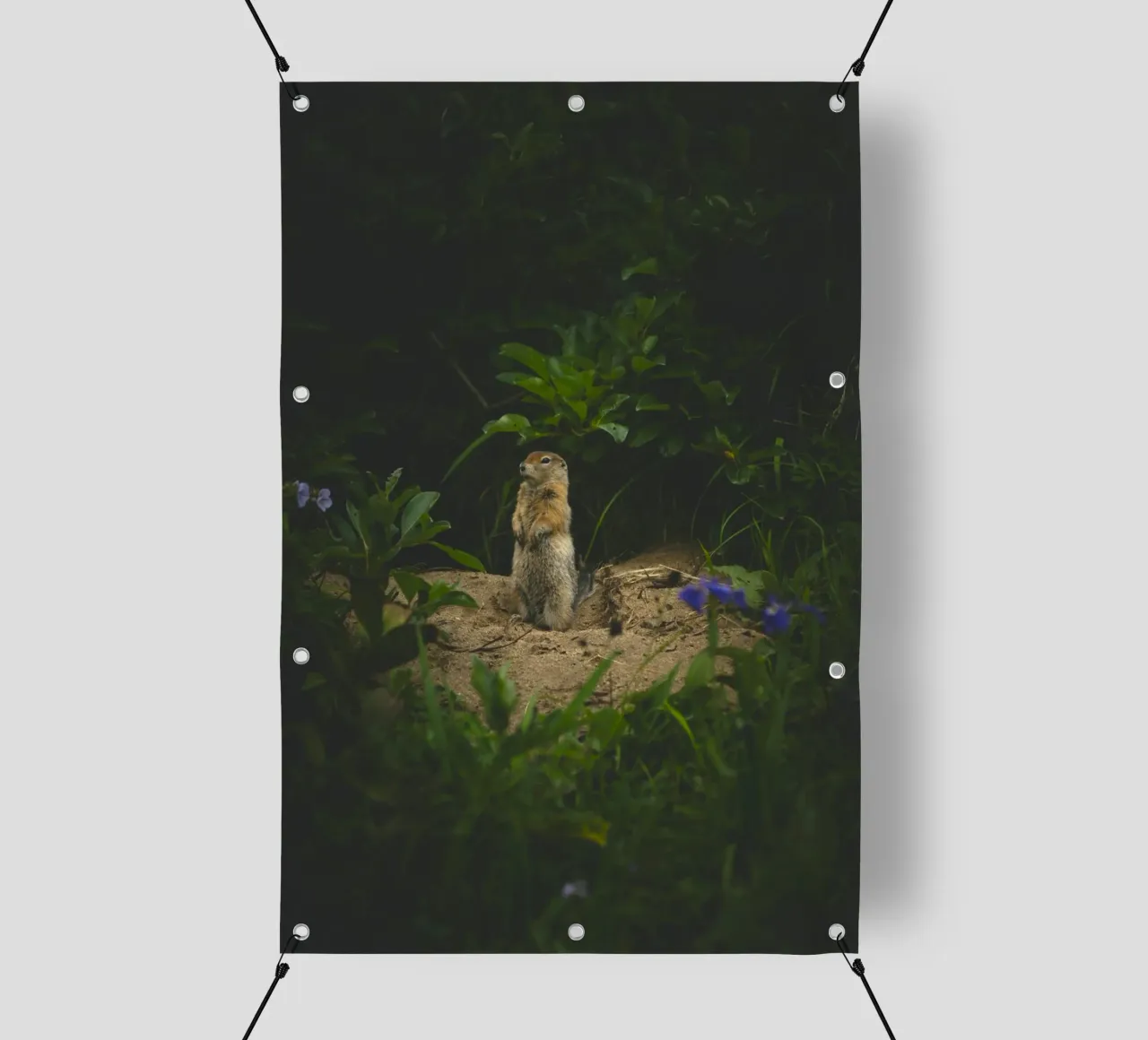 scoiattolo selvatico telo in pvc da Earthly Visions