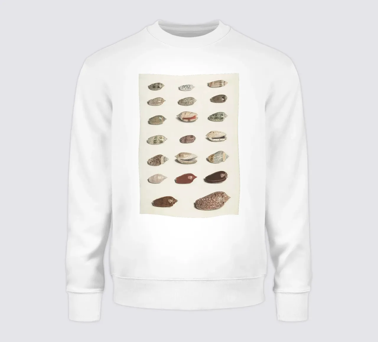 zeeschelpen weekdieren sweatshirt van Earthly Visions