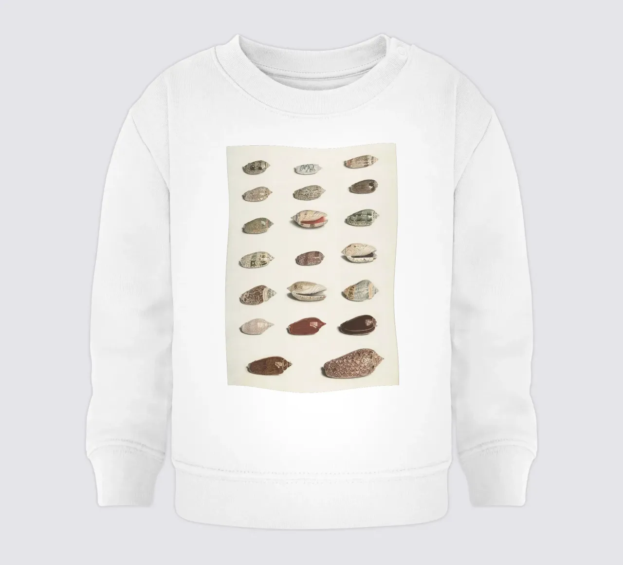 conchiglie molluschi felpa neonato da Earthly Visions