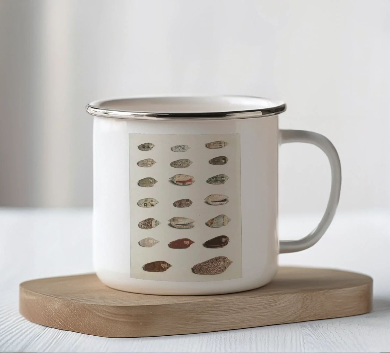 conchiglie molluschi tazza in smalto da Earthly Visions