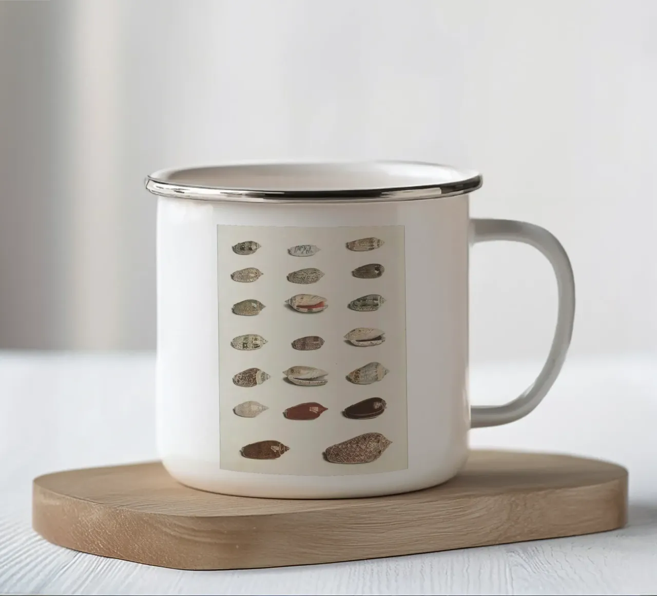 conchiglie molluschi tazza in smalto da Earthly Visions