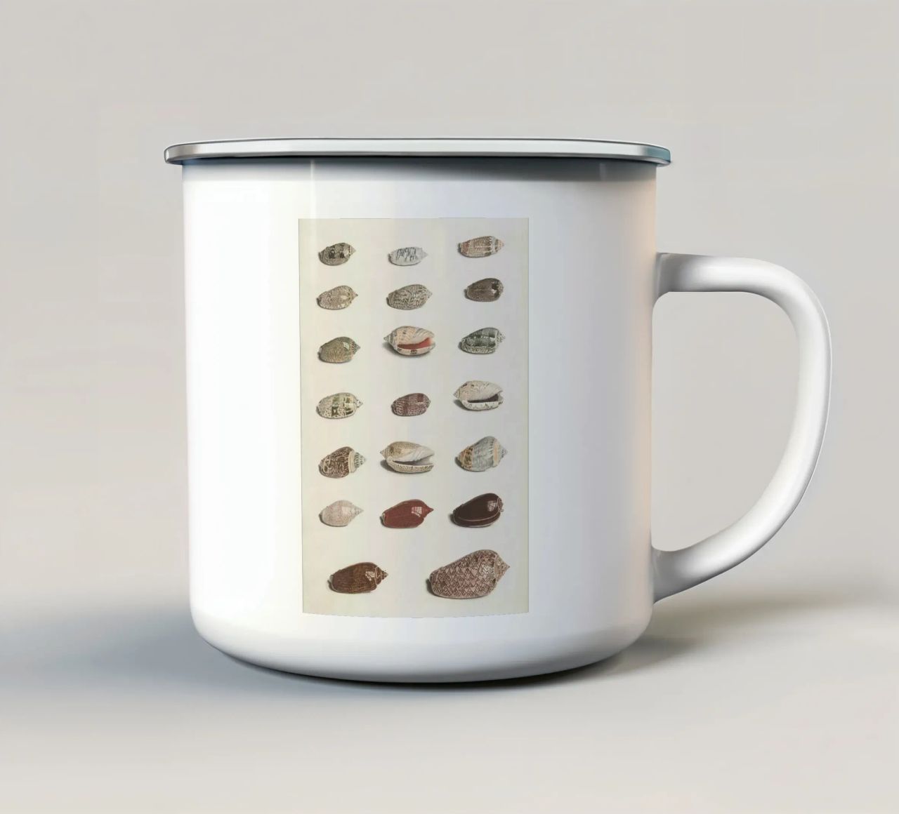 conchiglie molluschi tazza in smalto da Earthly Visions