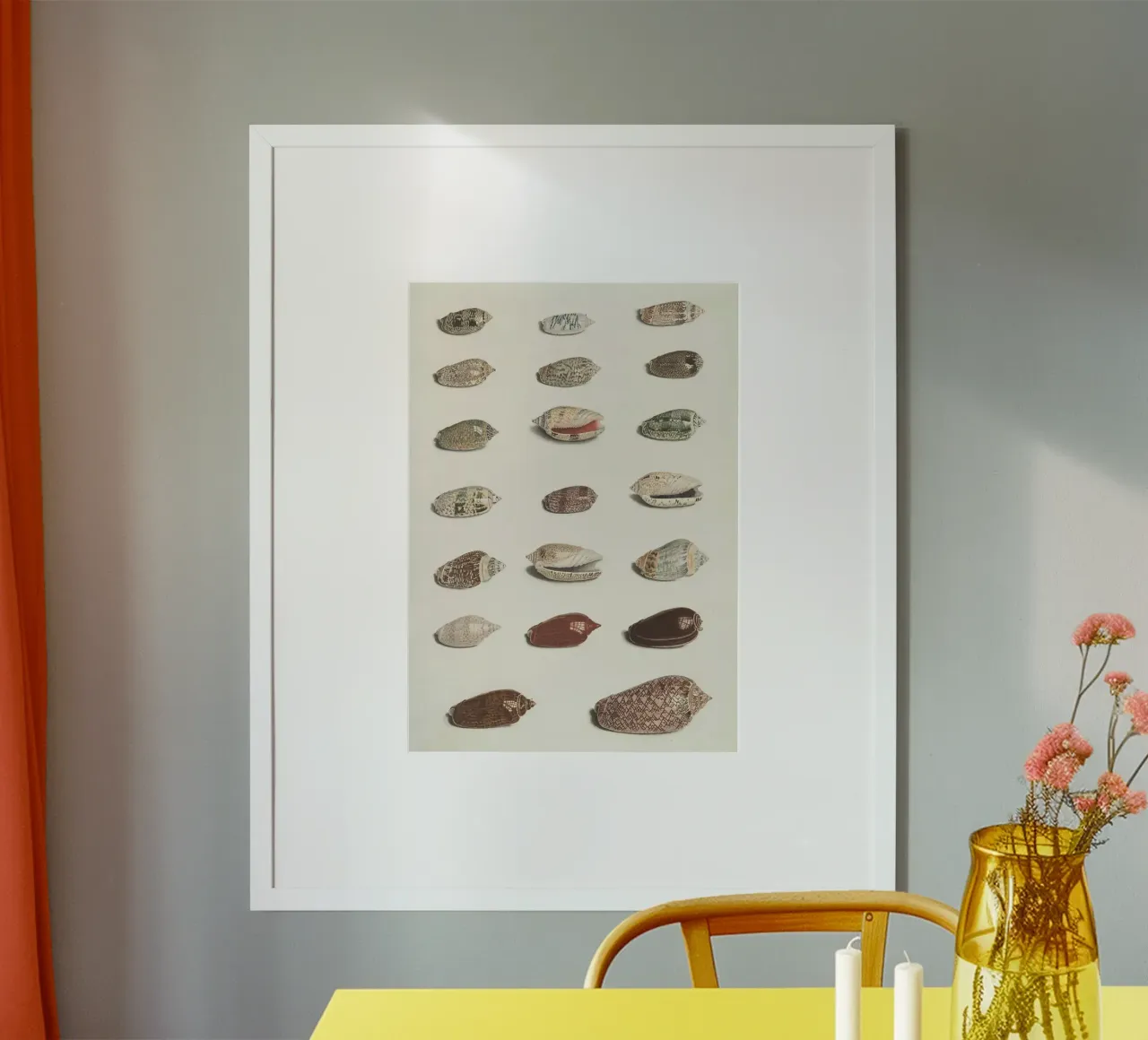 seashells mollusks poster with wooden frame by Earthly Visions