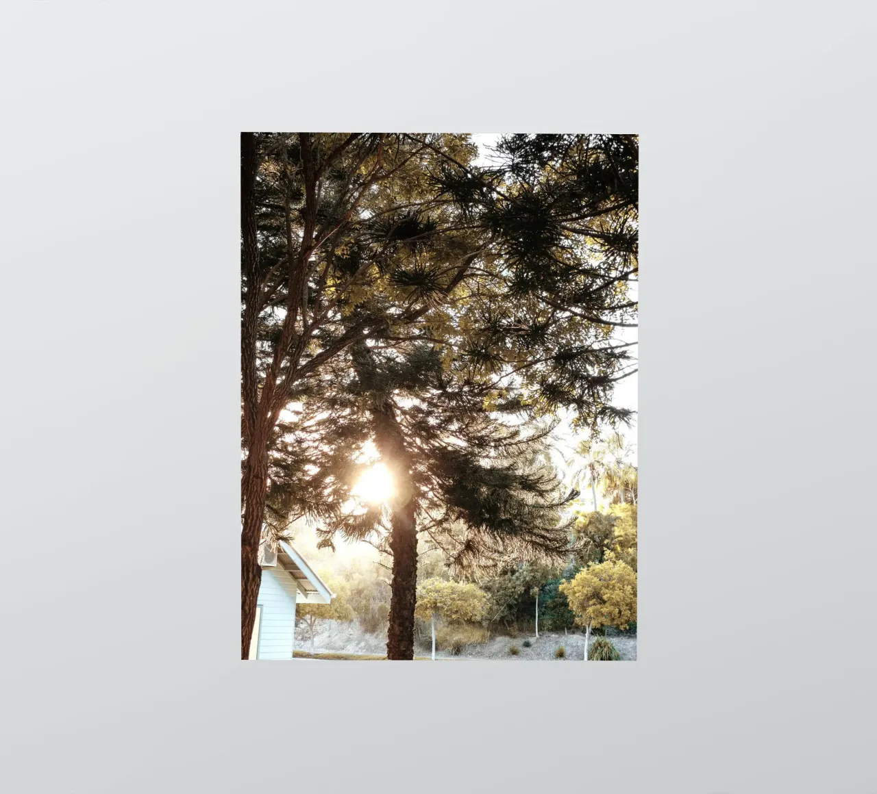 sunbeams and garden sticker by life of sands