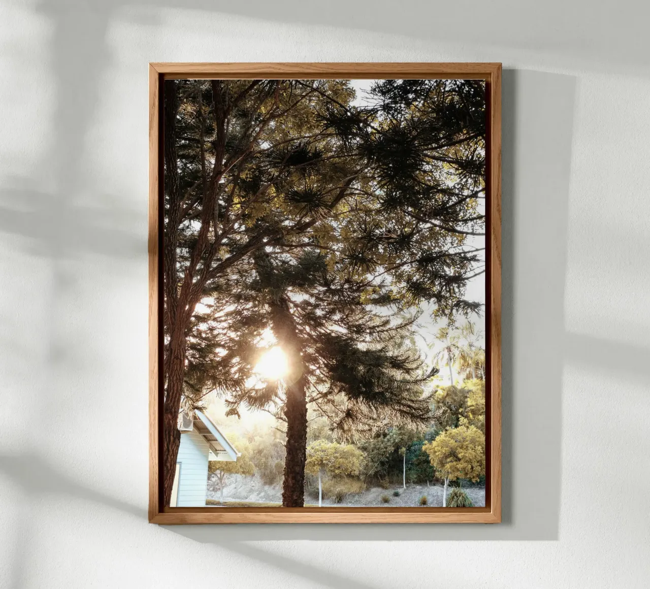zonnestralen en tuin aluminium-dibond van life of sands