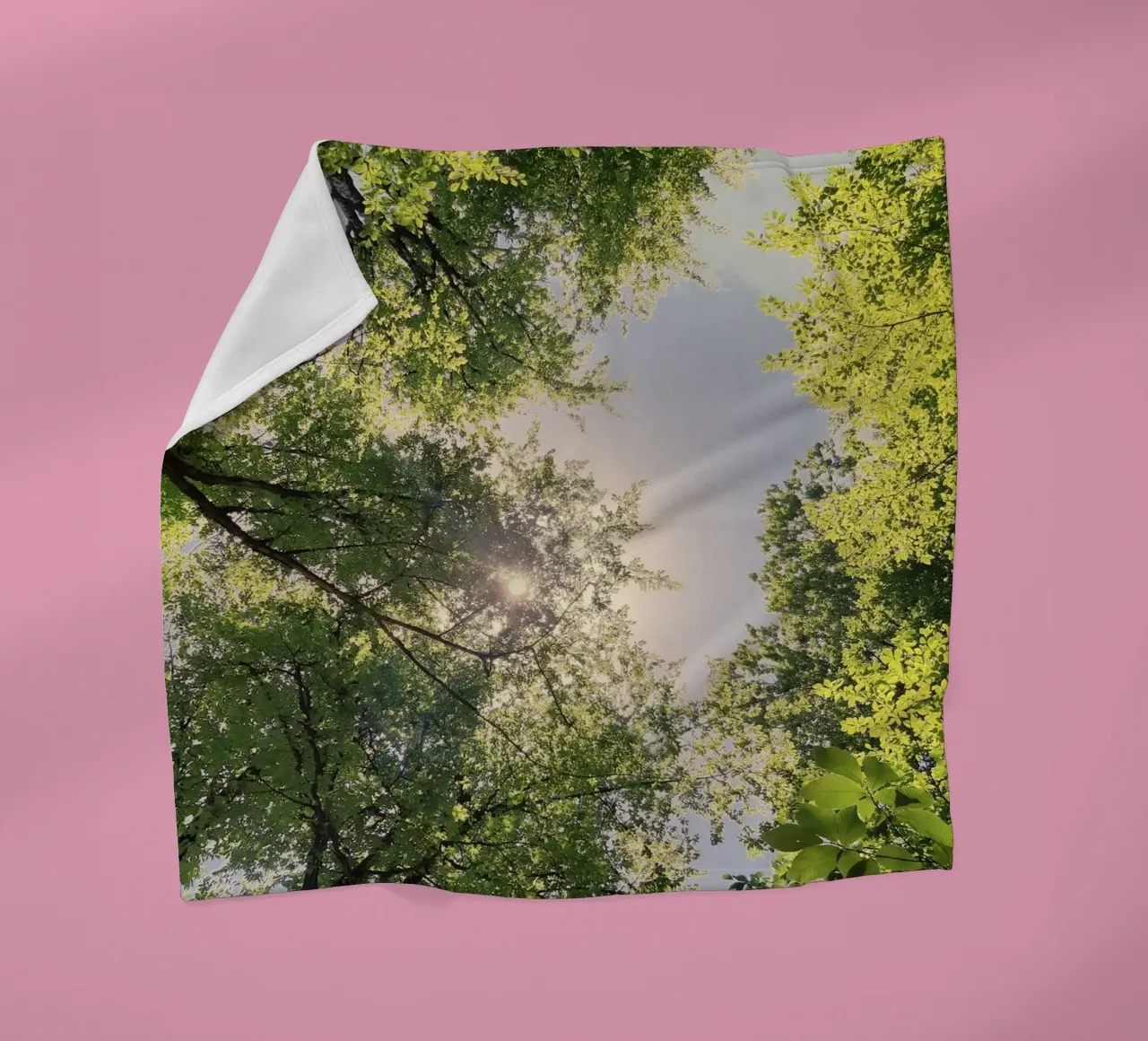 sunlight through trees fleece blanket by space words