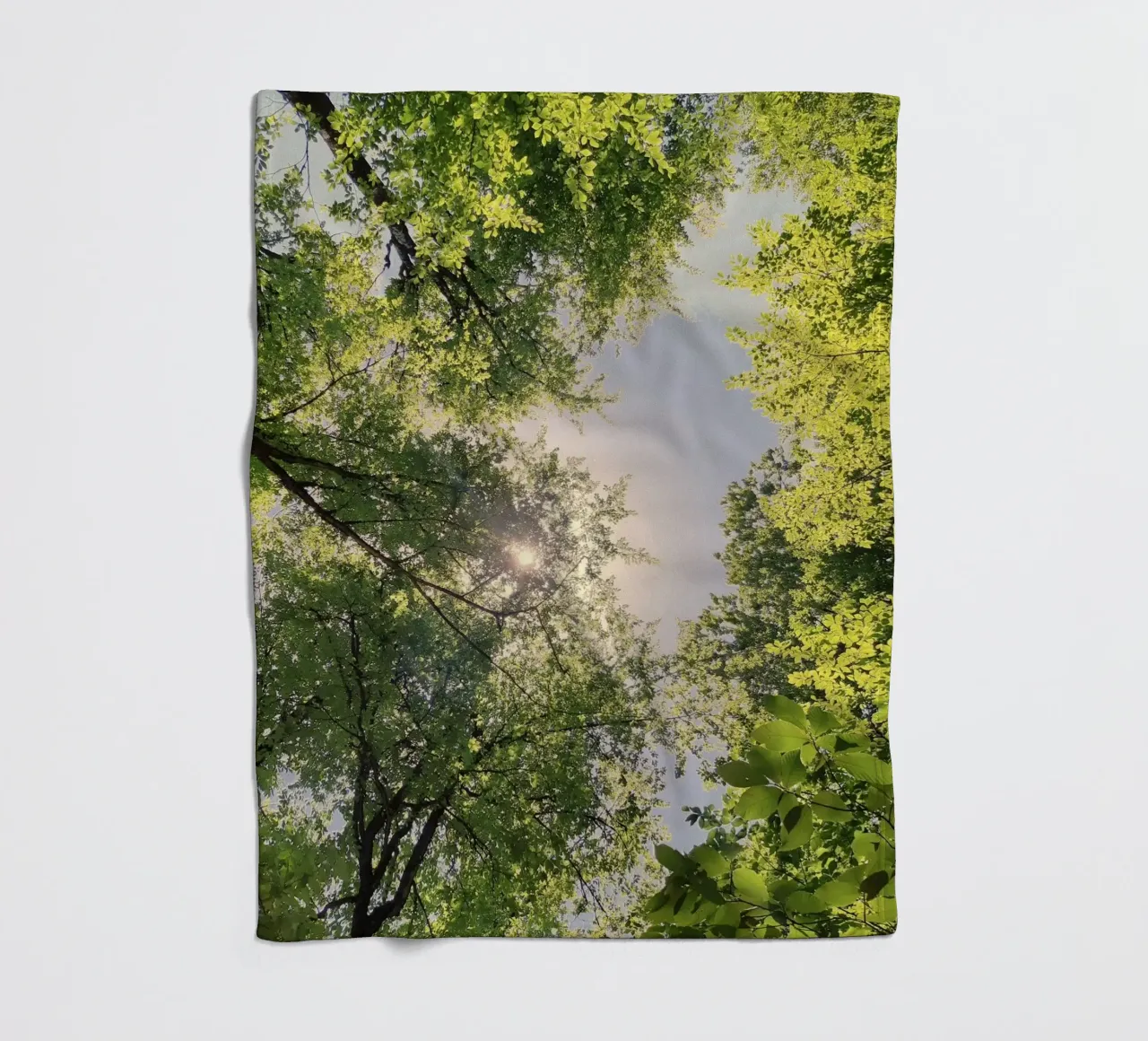 sunlight through trees fleece blanket by space words