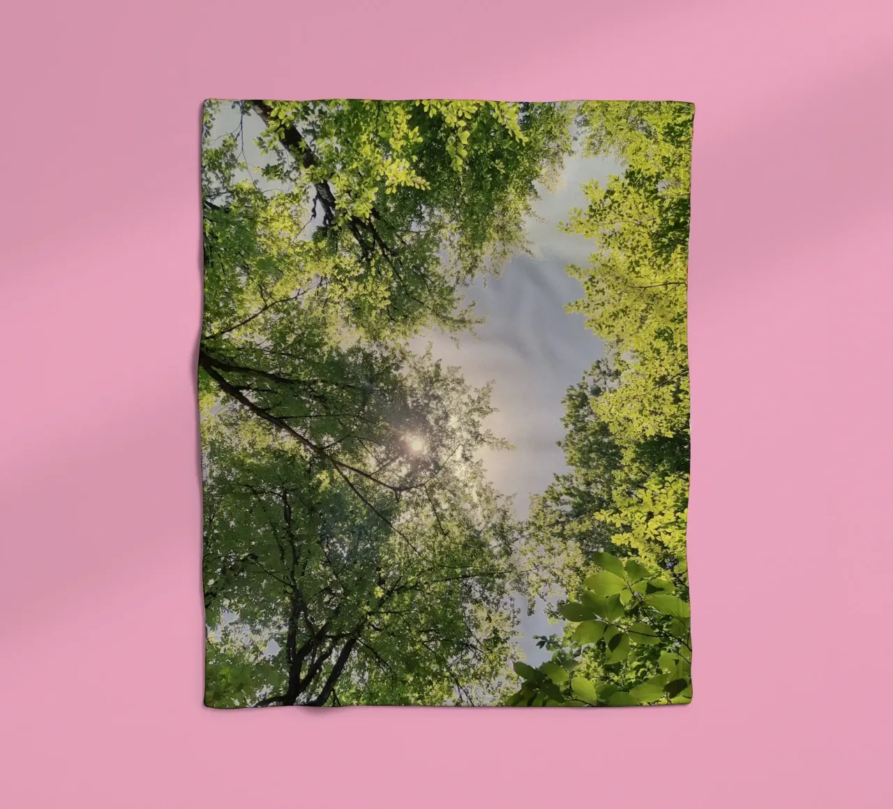 sunlight through trees fleece blanket by space words