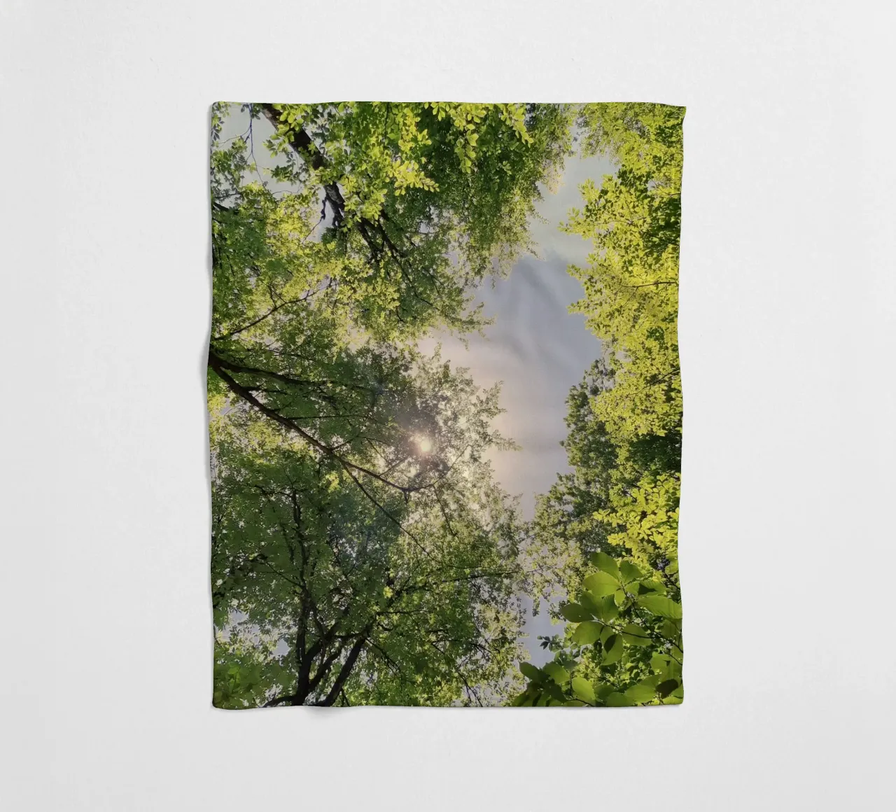 sunlight through trees fleece blanket by space words