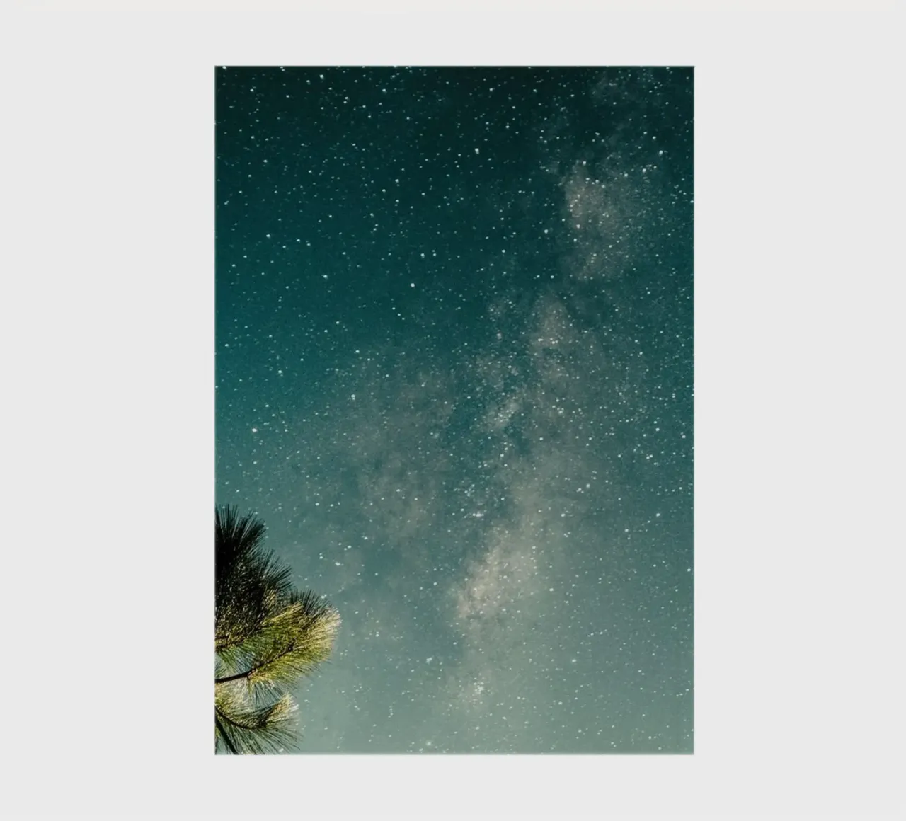 nighttime scenery palm notebook by space words