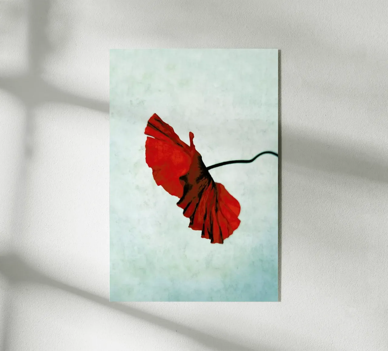 Red acrylic glass by Angelo Cerantola