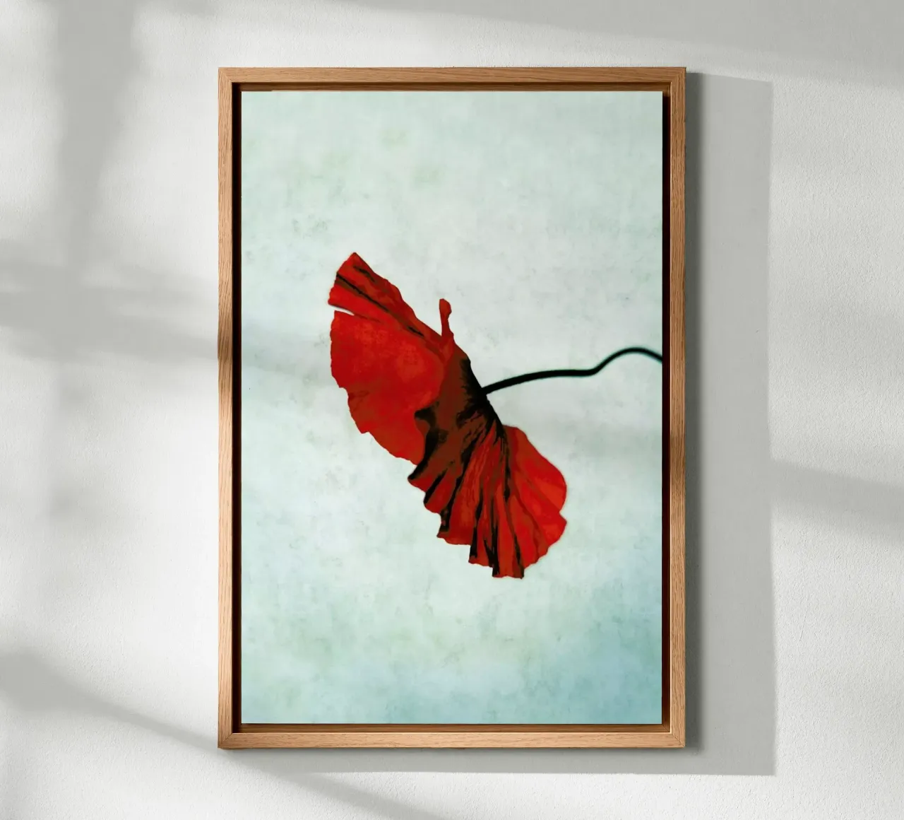 Red forex plate by Angelo Cerantola