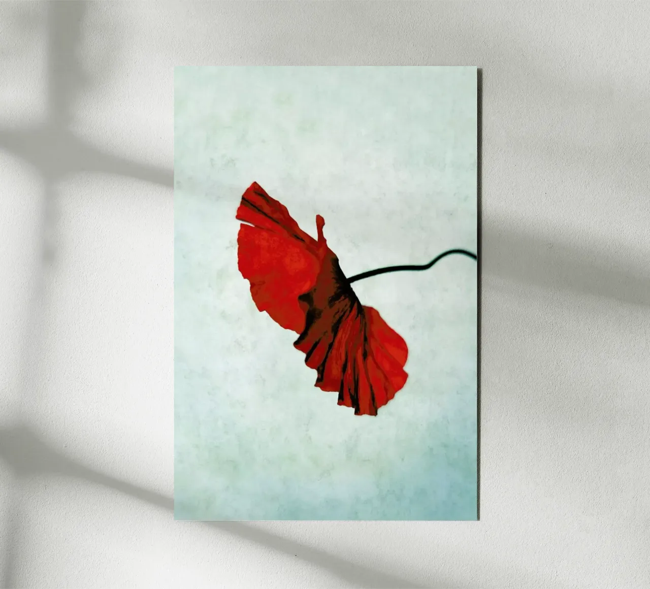 Red forex plate by Angelo Cerantola