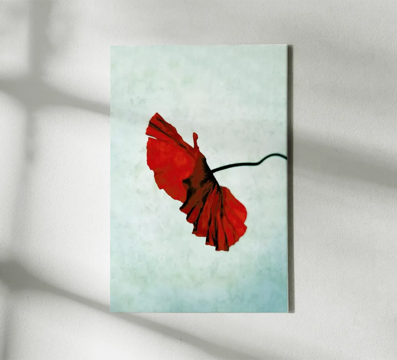 Red tela da Angelo Cerantola