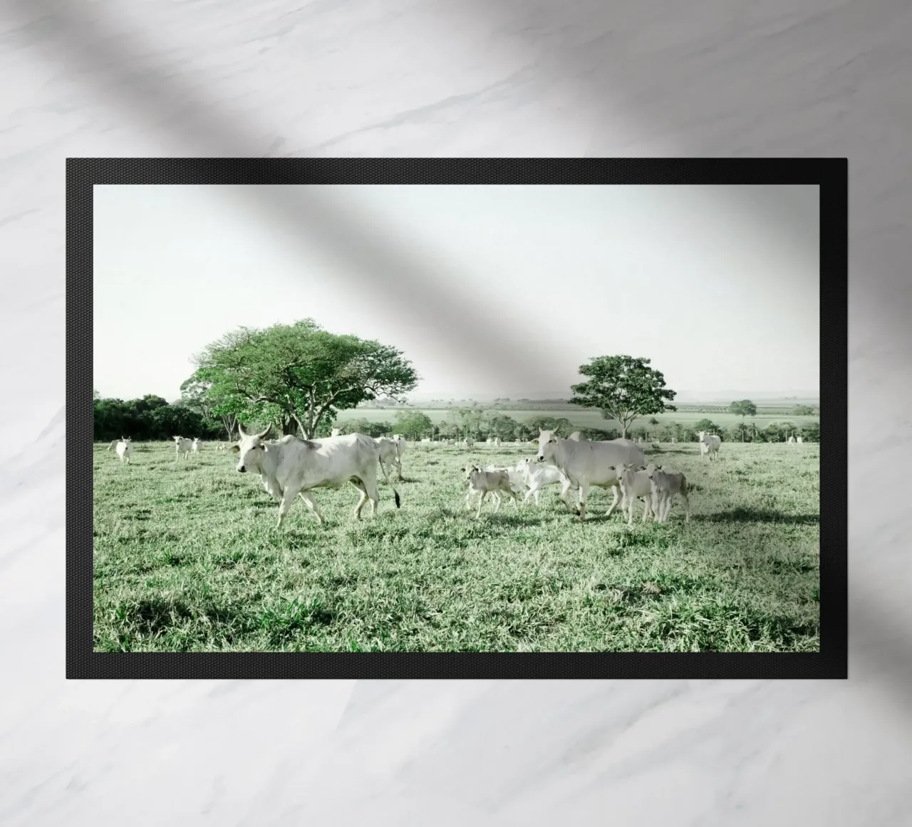 Mucche bianche in un campo verde zerbino da KISSA STUDIO