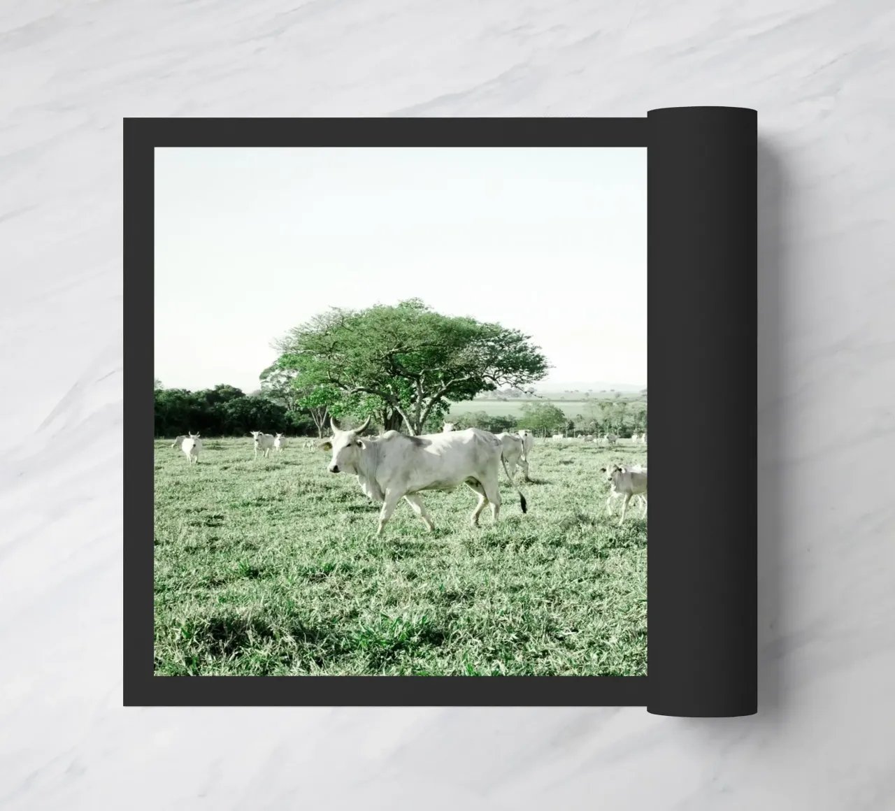 Mucche bianche in un campo verde zerbino da KISSA STUDIO