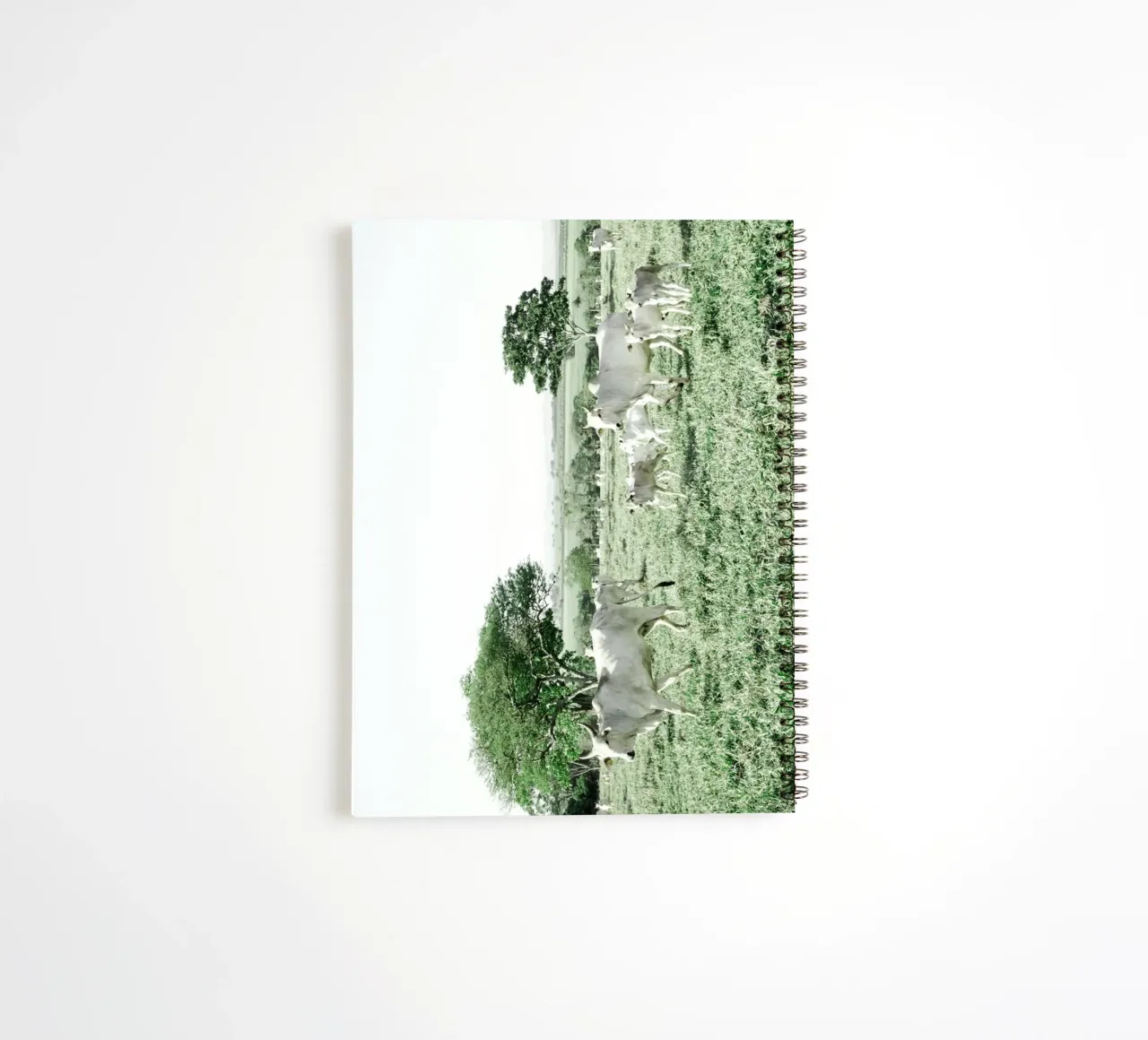 Mucche bianche in un campo verde diario ad anelli da KISSA STUDIO