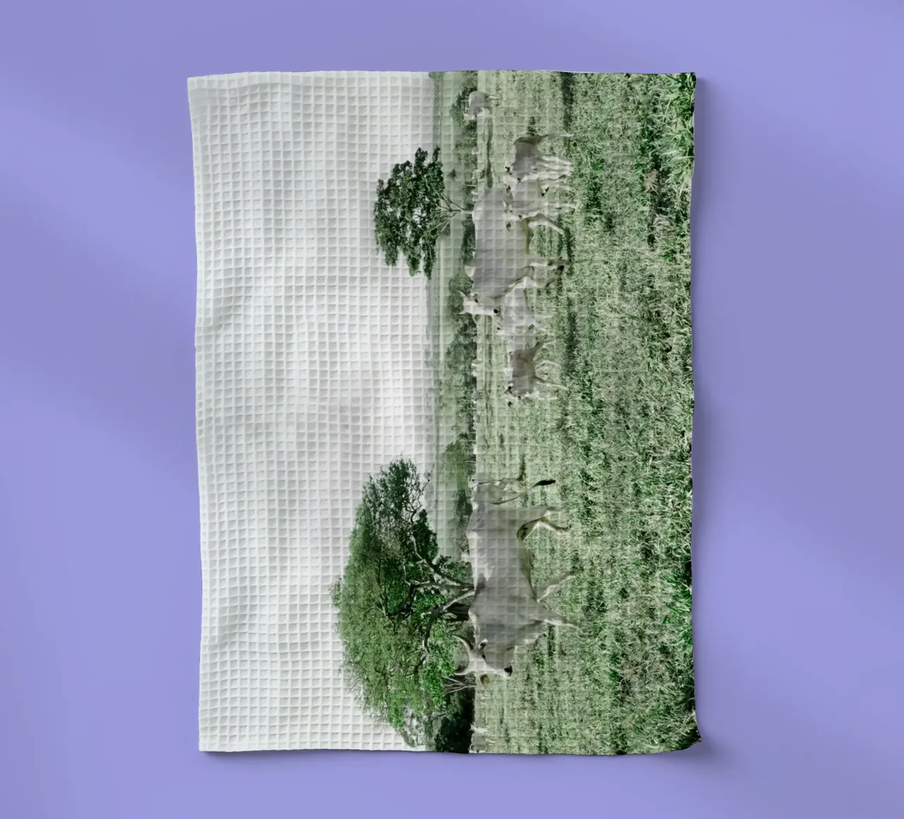 Vaches blanches dans un champ vert torchon de KISSA STUDIO