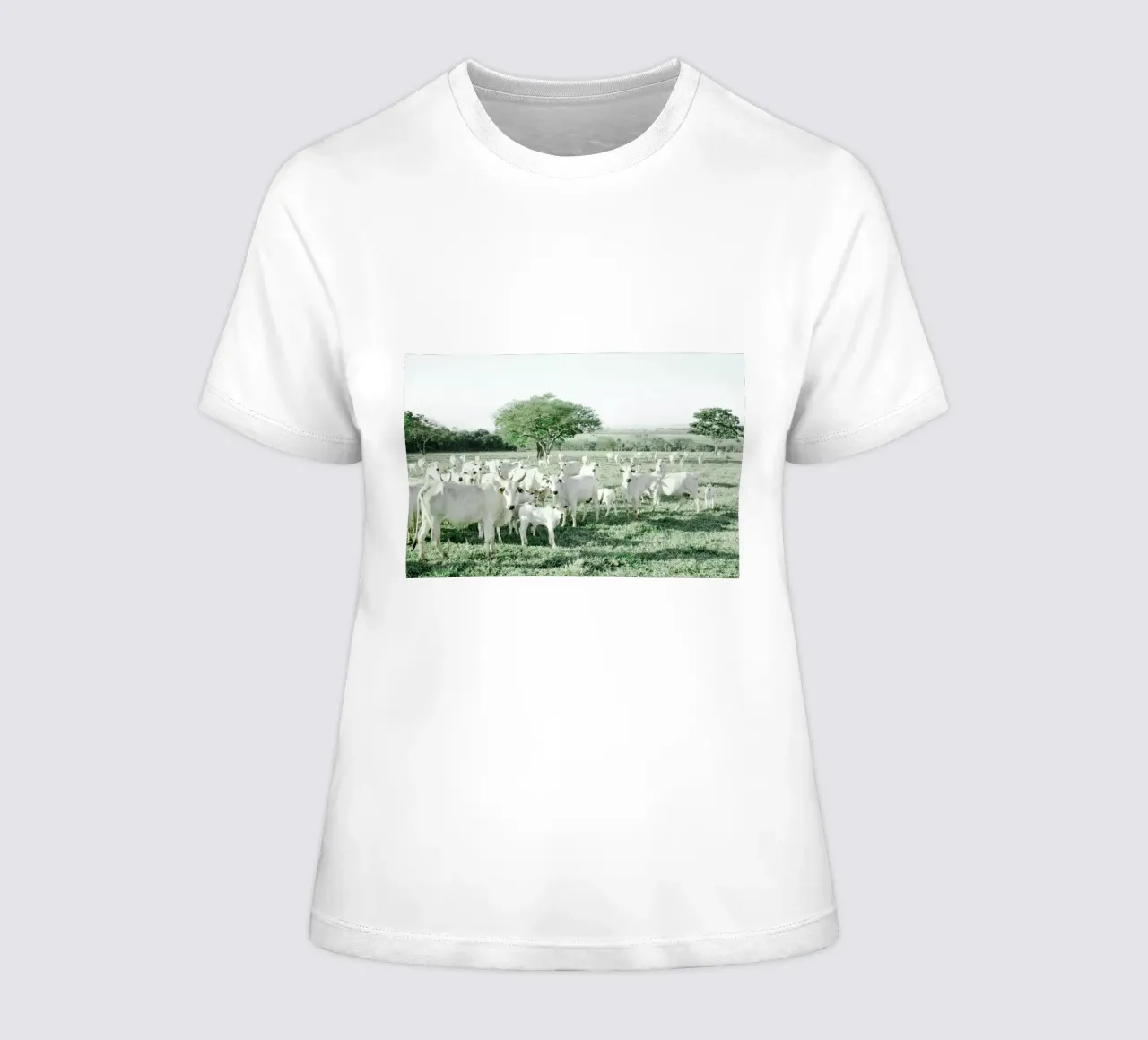 Mucche bianche in un campo verde t-shirt da donna da KISSA STUDIO