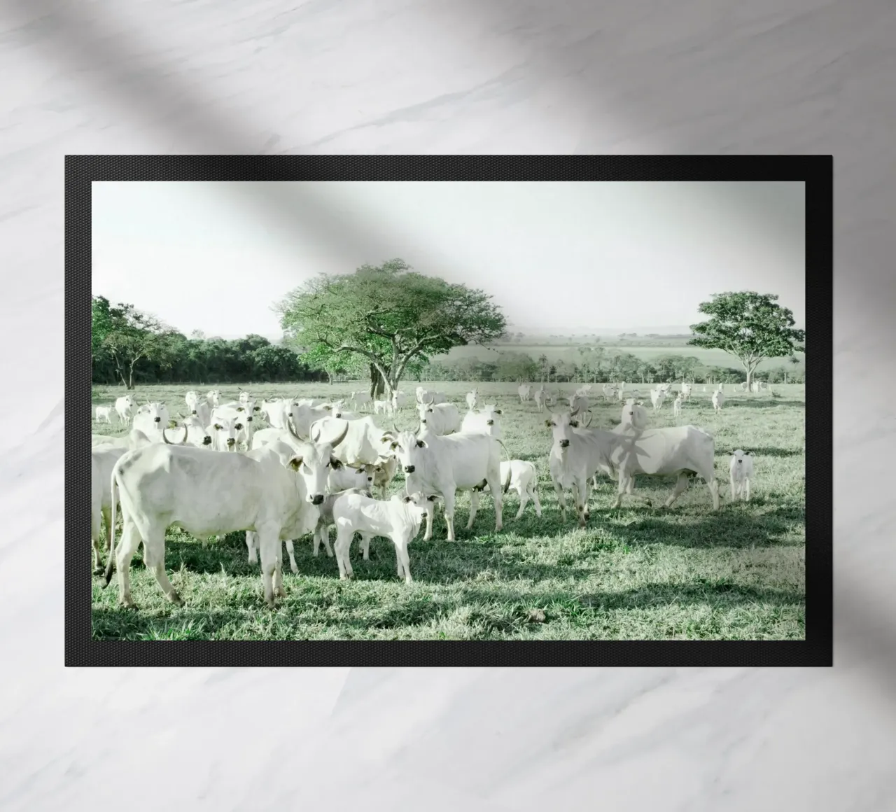 Mucche bianche in un campo verde zerbino da KISSA STUDIO