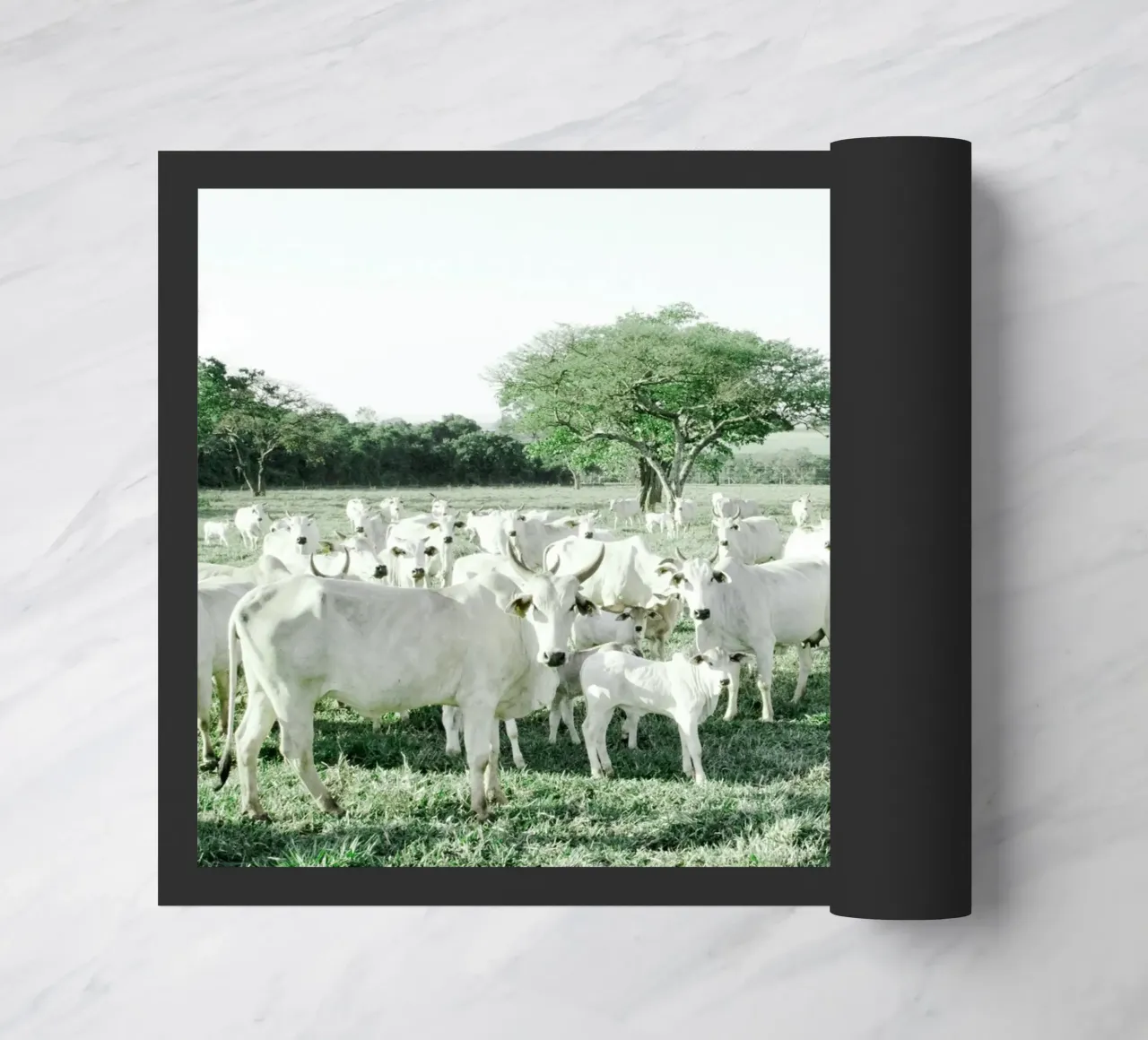 Mucche bianche in un campo verde zerbino da KISSA STUDIO