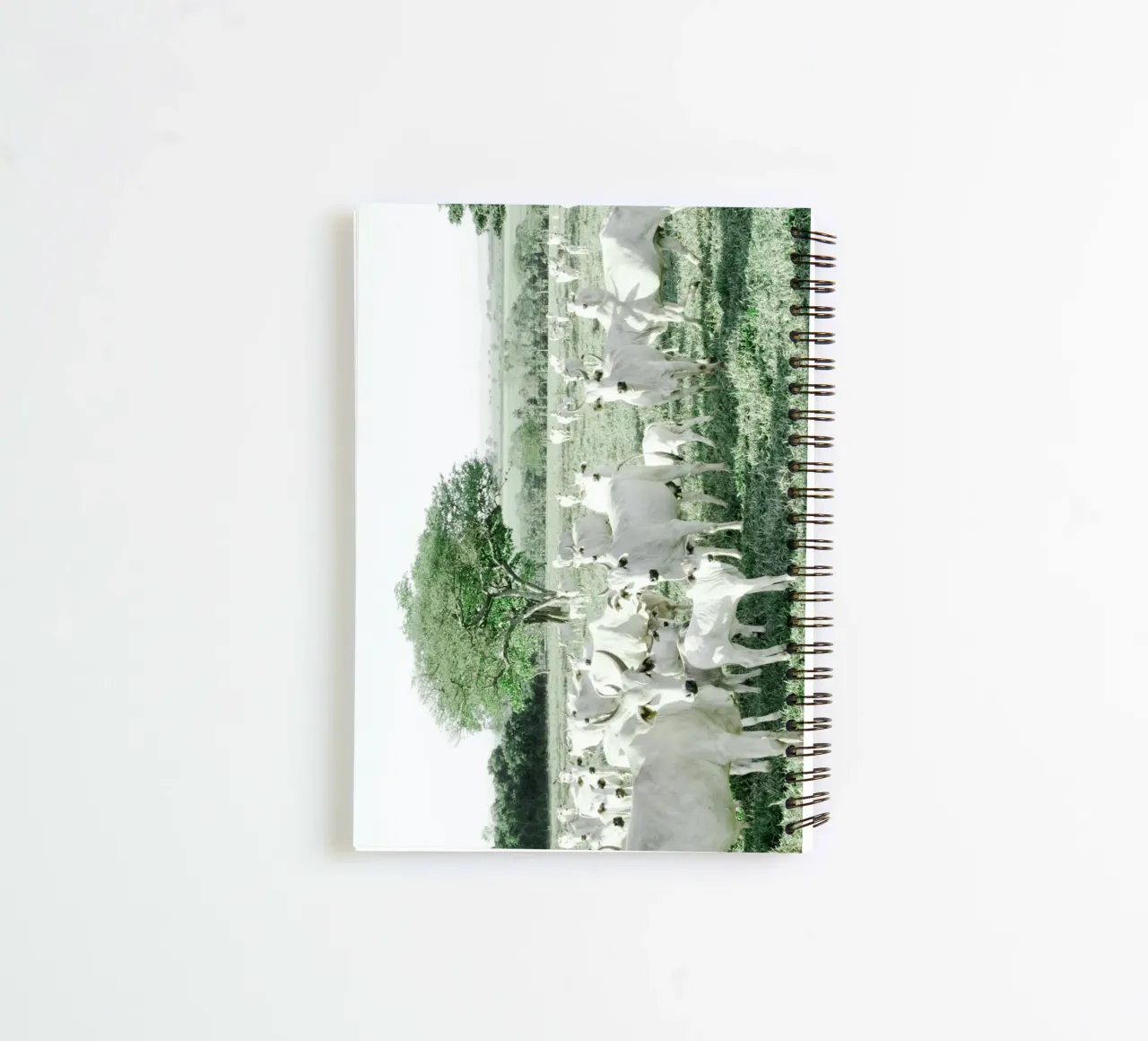 White Cows in Green Field spiral notebook by KISSA STUDIO