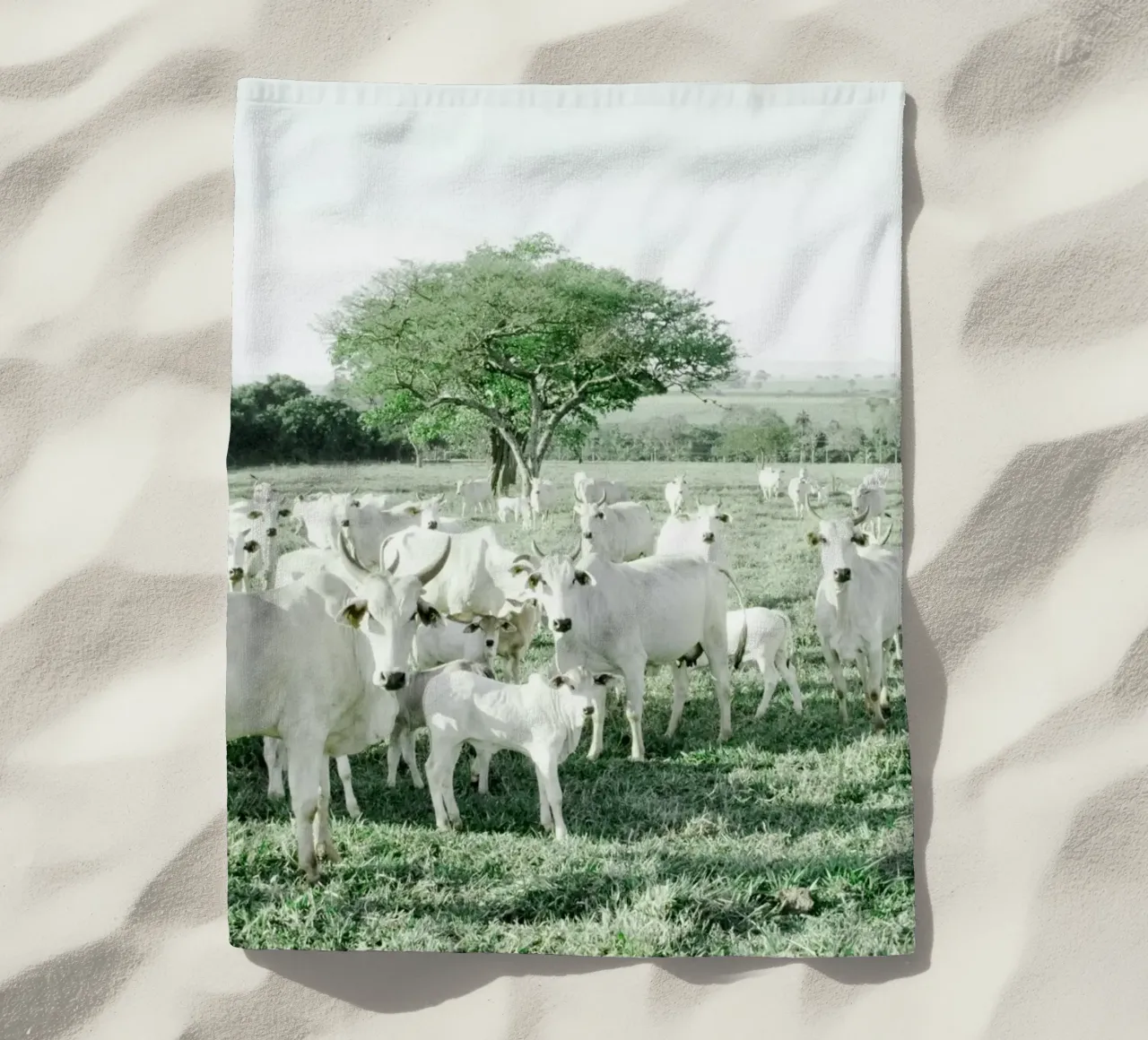 Mucche bianche in un campo verde telo mare da KISSA STUDIO