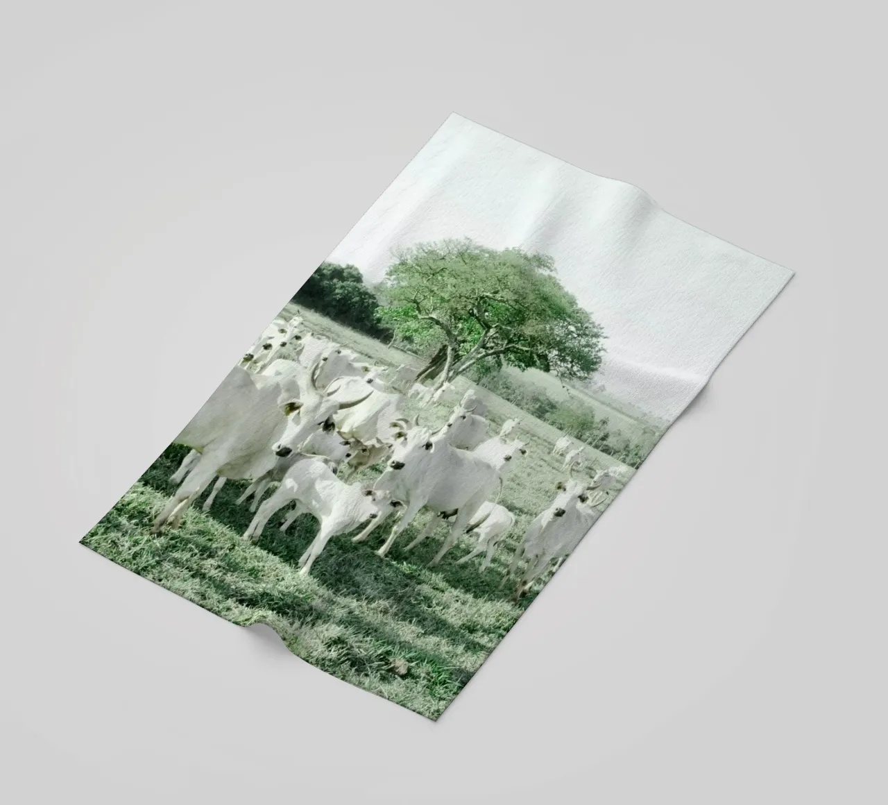 Mucche bianche in un campo verde telo mare da KISSA STUDIO