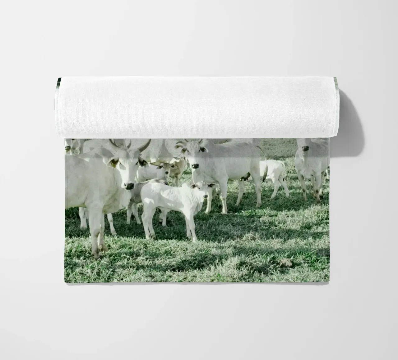 Mucche bianche in un campo verde telo mare da KISSA STUDIO