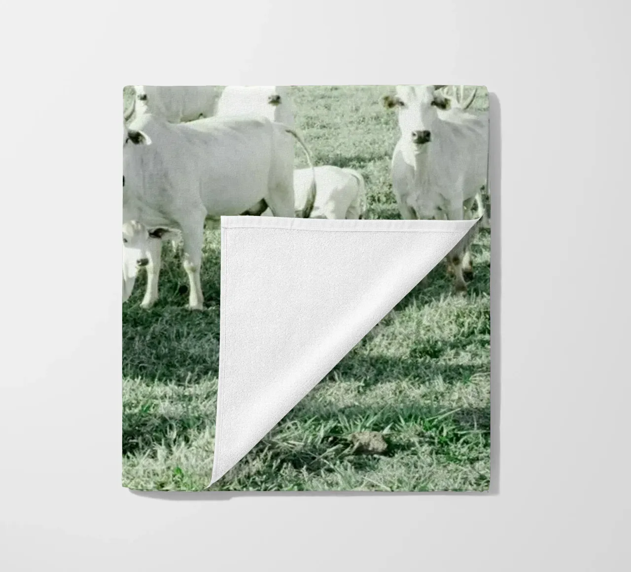 Mucche bianche in un campo verde telo mare da KISSA STUDIO