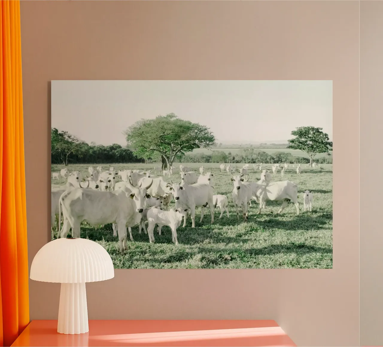 Mucche bianche in un campo verde plexiglass da KISSA STUDIO