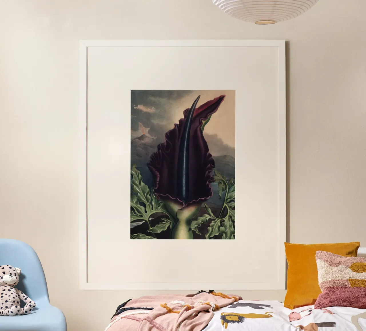 Vintage Thornton 2 Dragon Arum poster con telaio in plastica da Vintage Print Collection