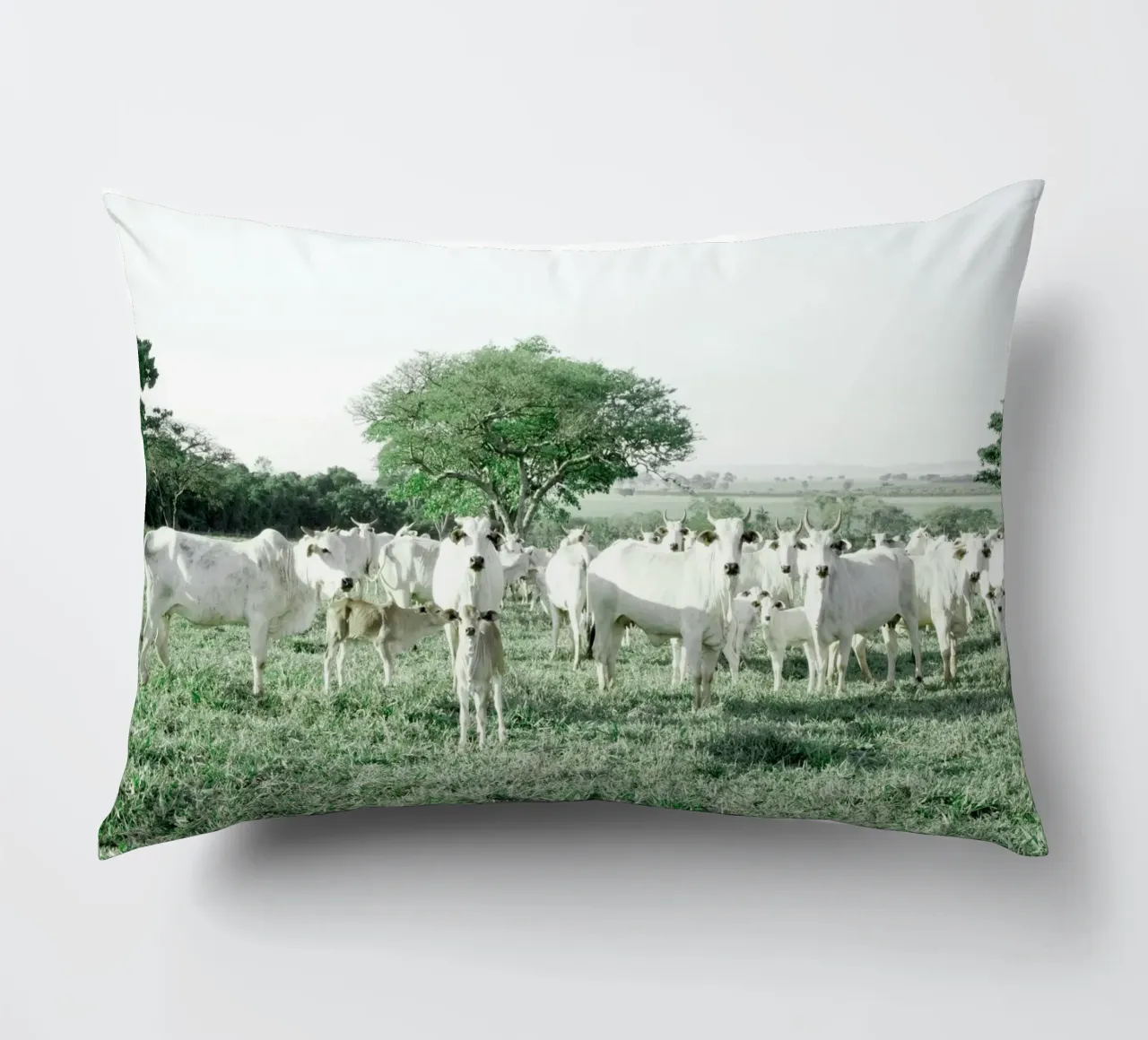 Mucche bianche in un campo verde cuscino da KISSA STUDIO
